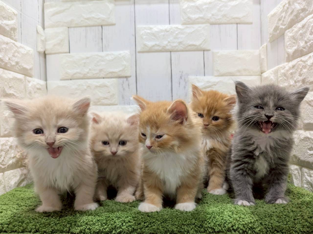 赤ちゃん写真2-3