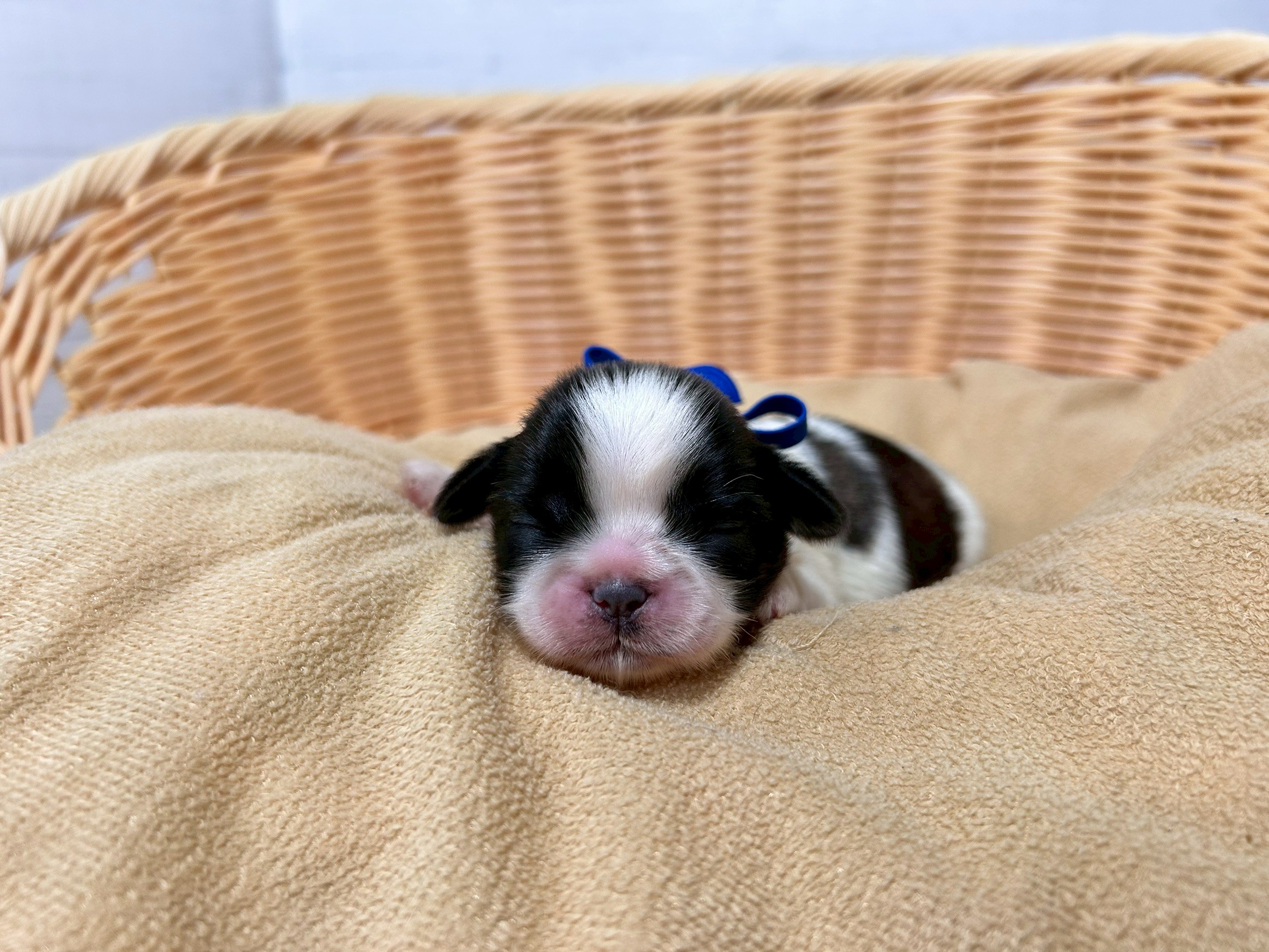 赤ちゃん写真1-1