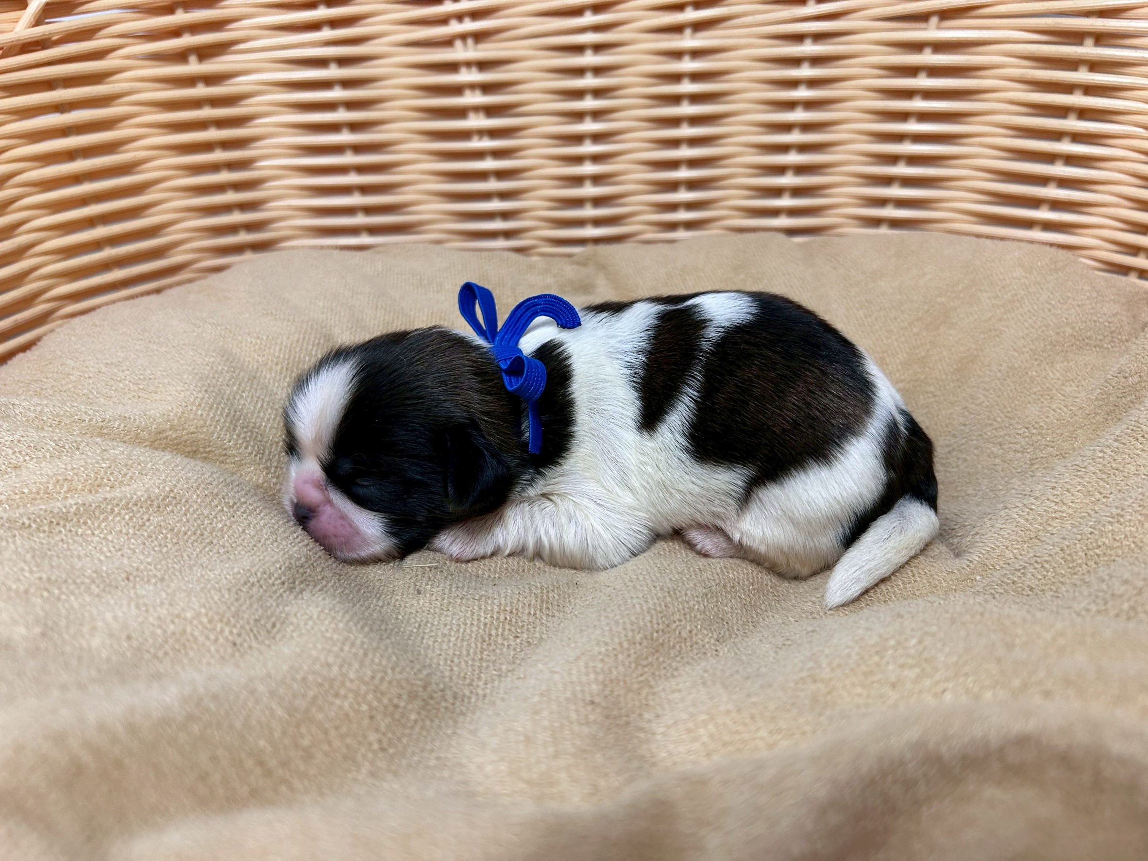 赤ちゃん写真1-2