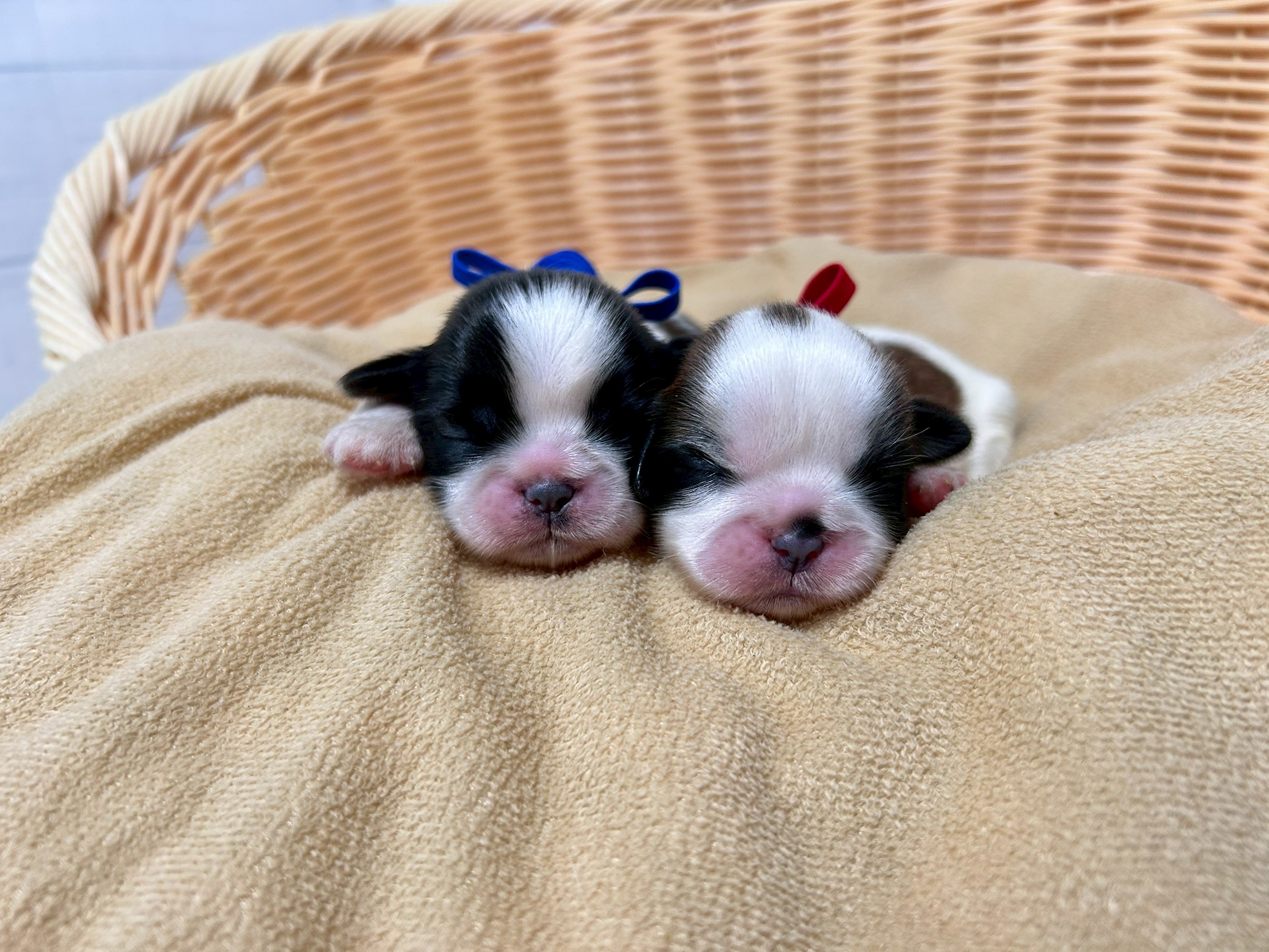 赤ちゃん写真1-3