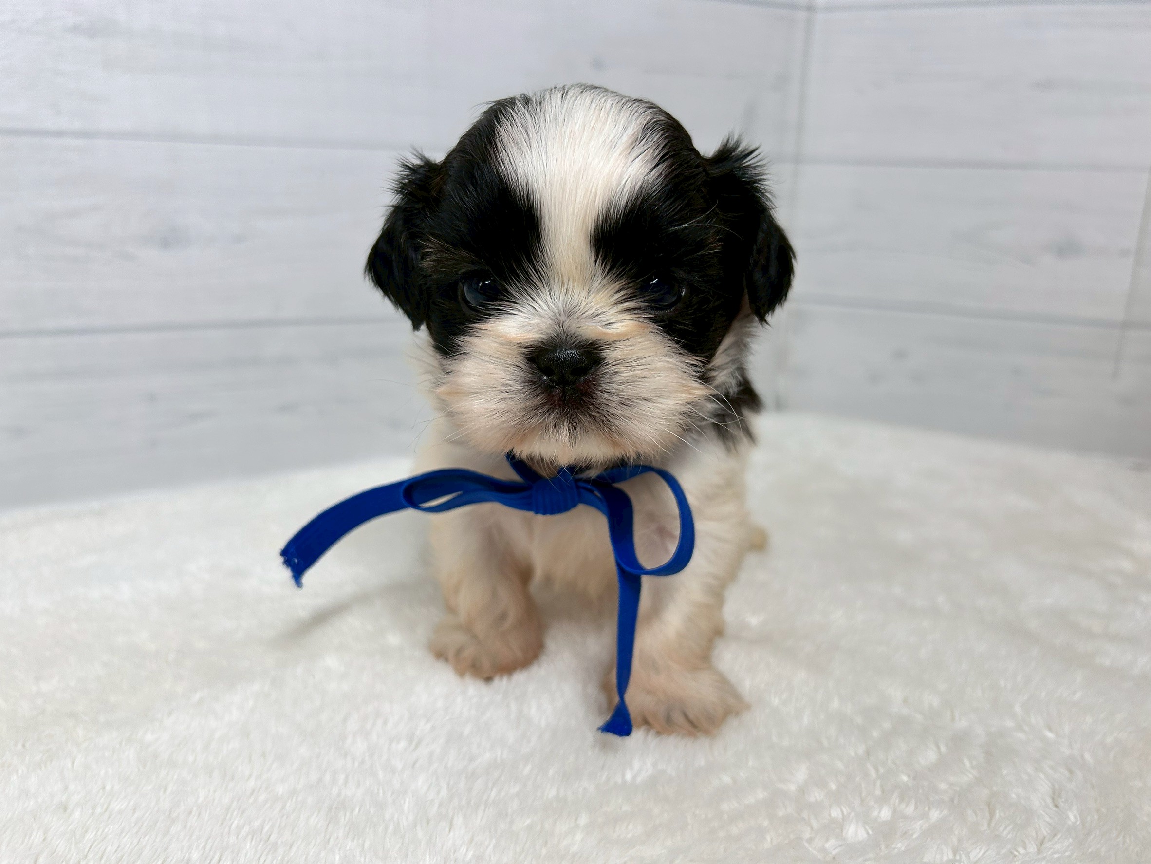 赤ちゃん写真2-1