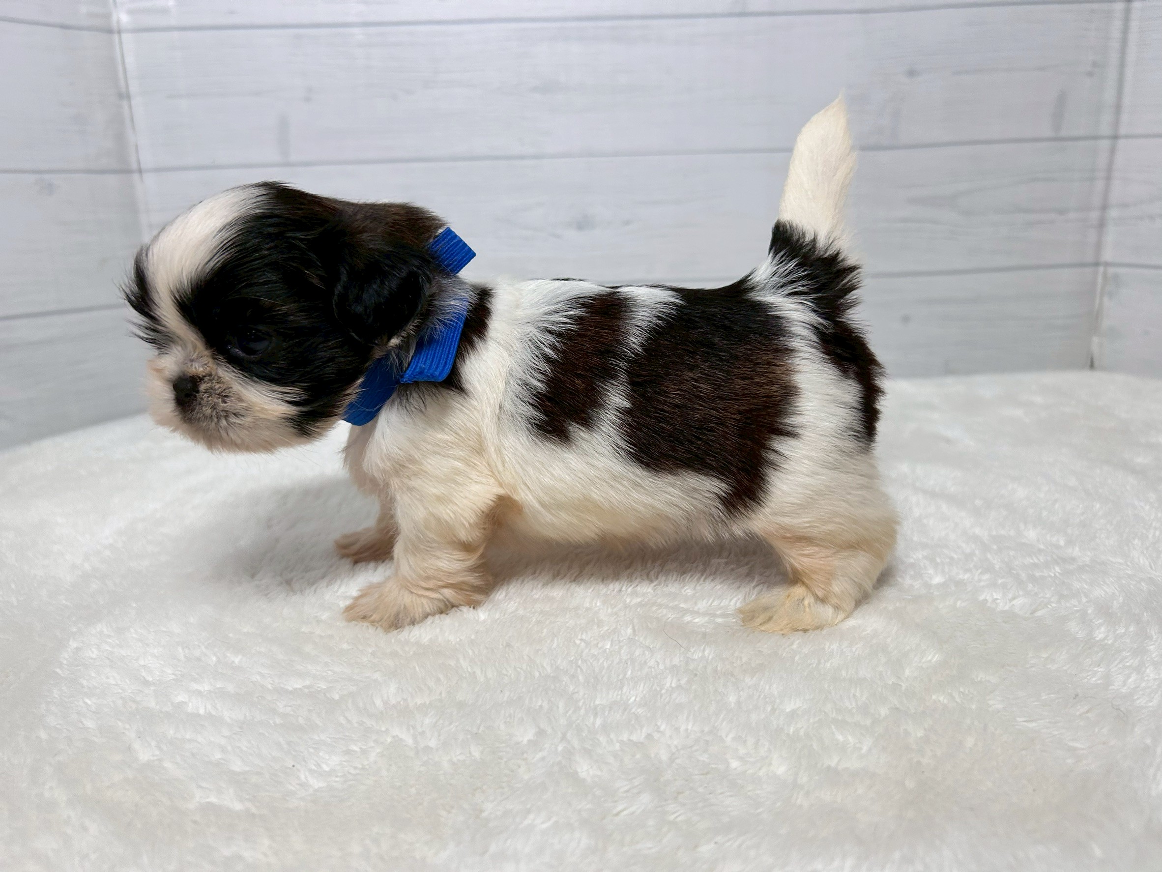 赤ちゃん写真2-2