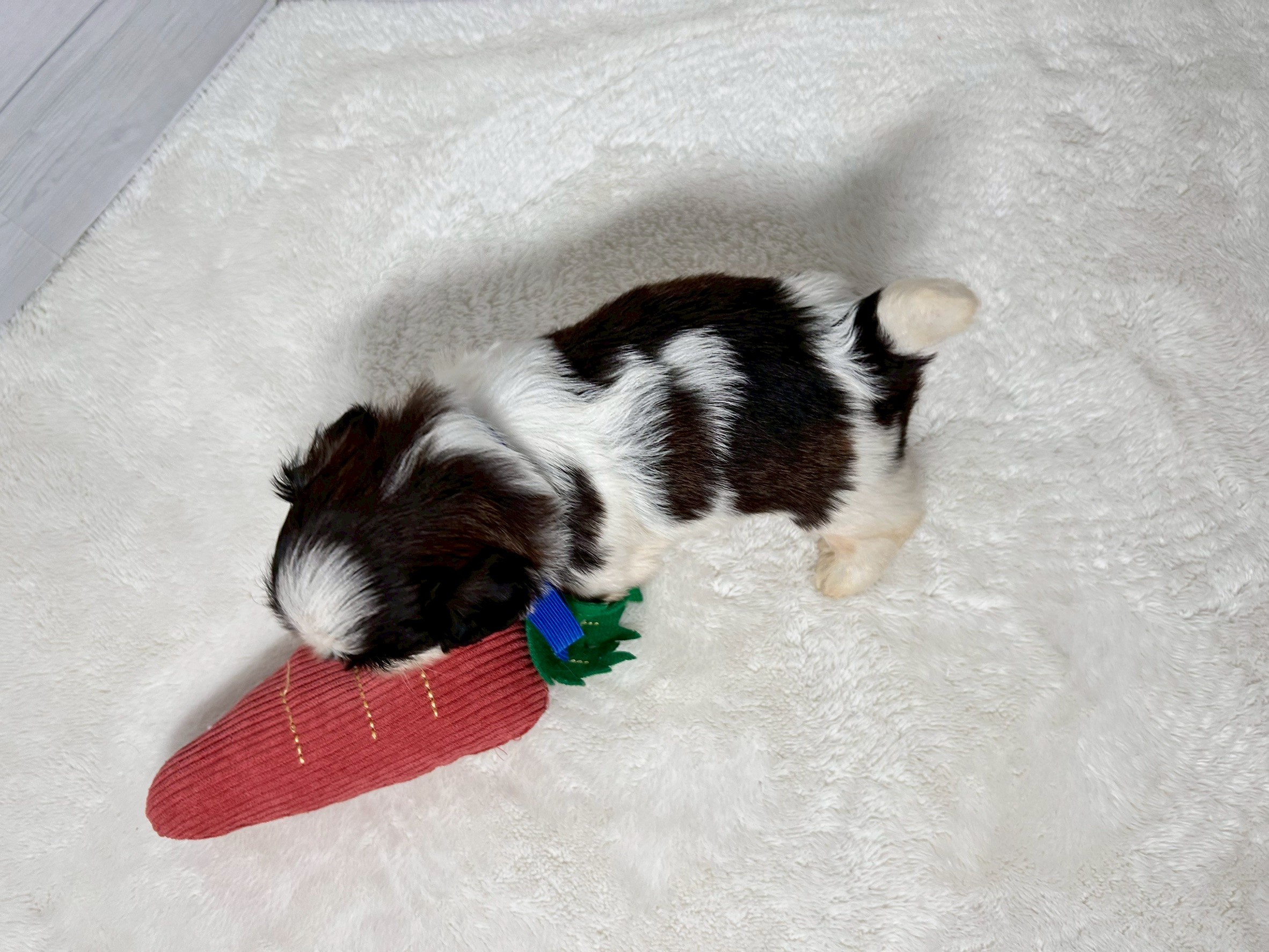 赤ちゃん写真2-3