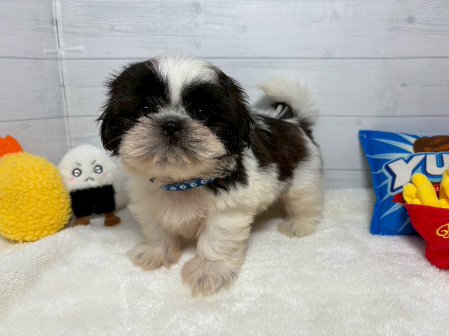 赤ちゃん写真3-1