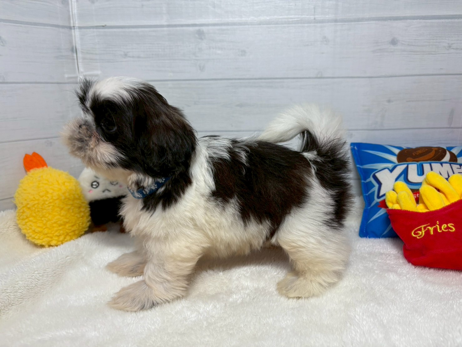 赤ちゃん写真3-2