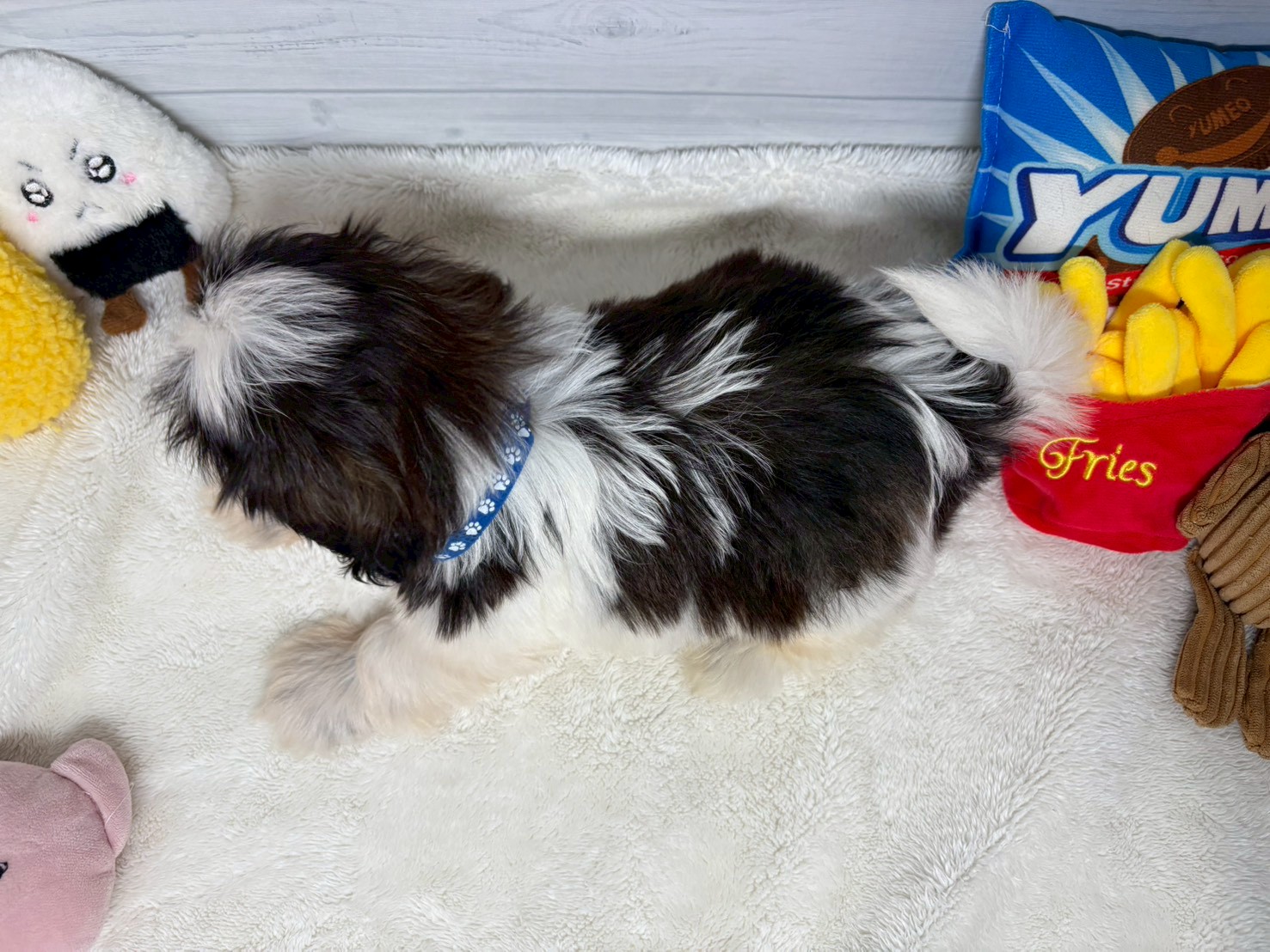 赤ちゃん写真3-3