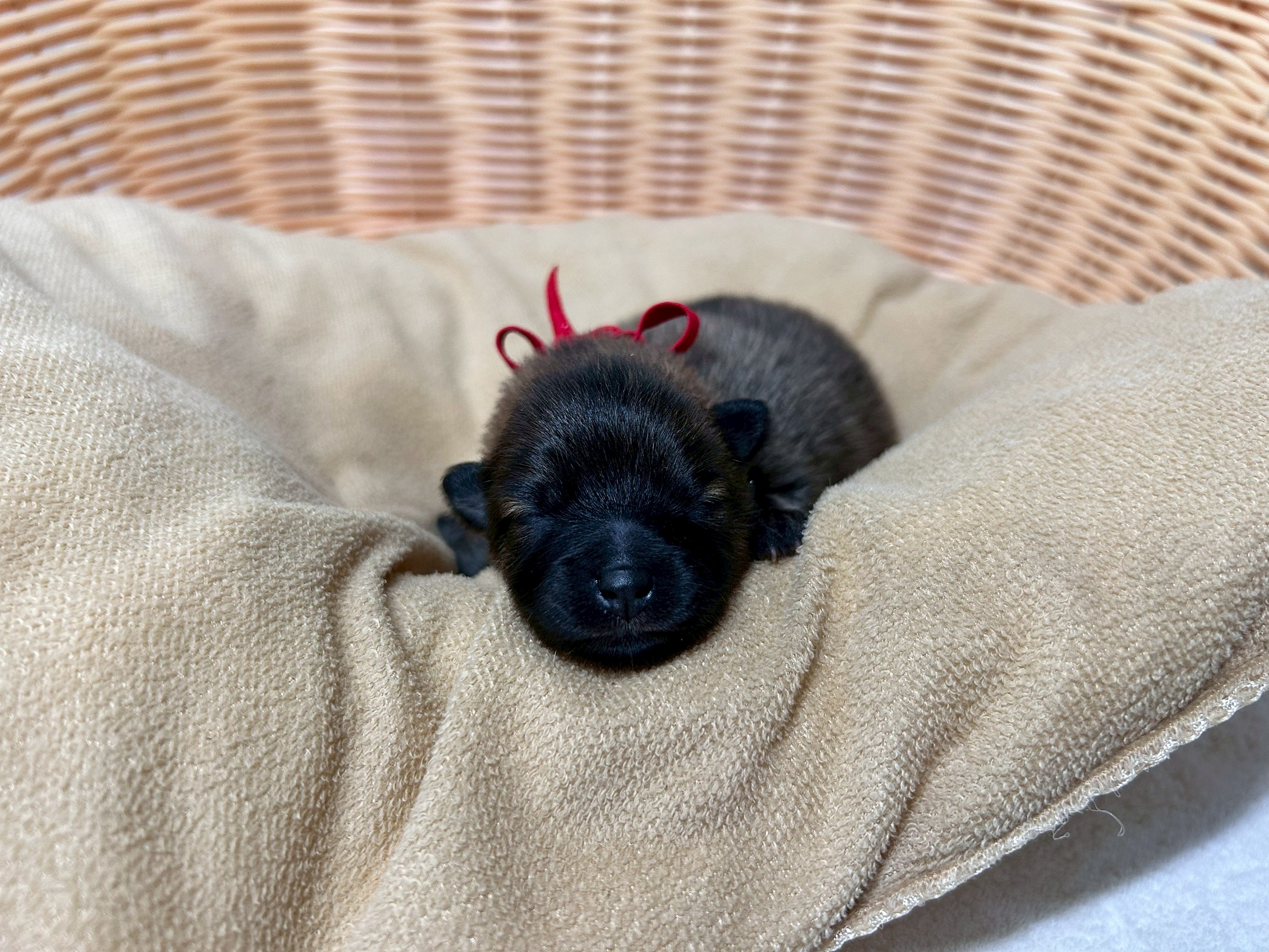 赤ちゃん写真1-1