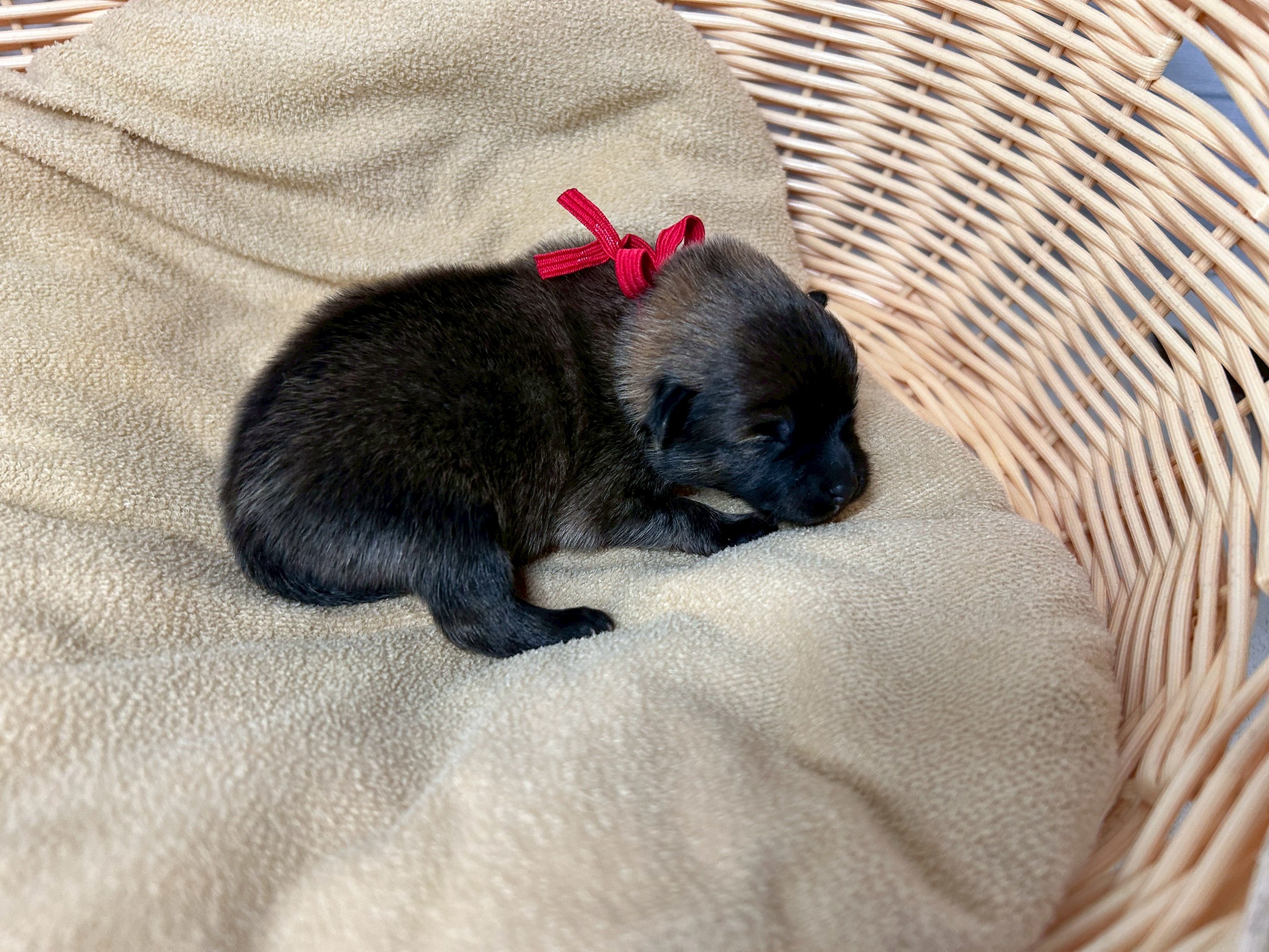 赤ちゃん写真1-2