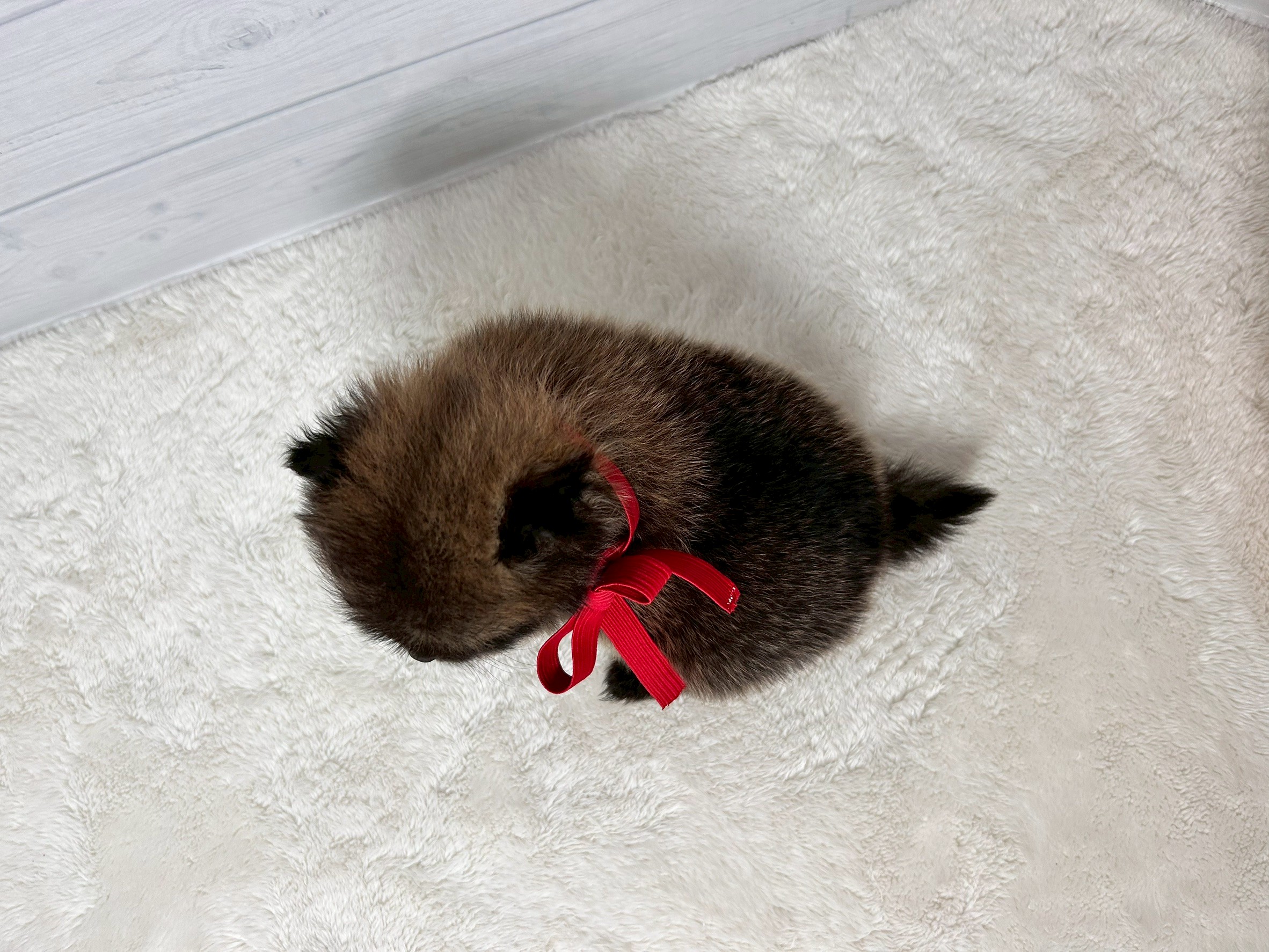 赤ちゃん写真2-3