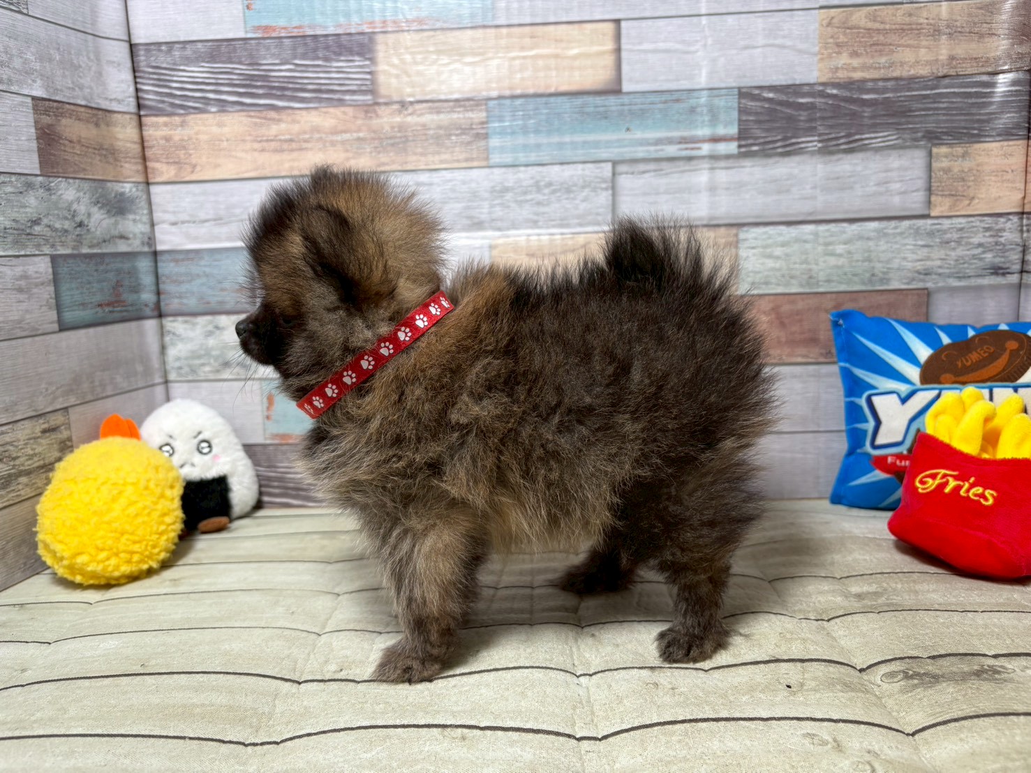 赤ちゃん写真3-2