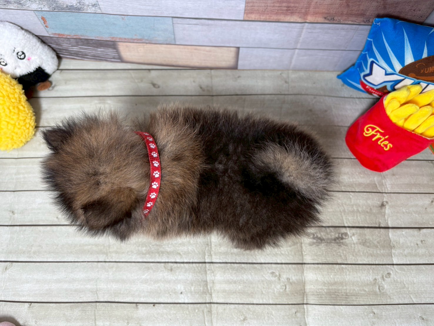 赤ちゃん写真3-3