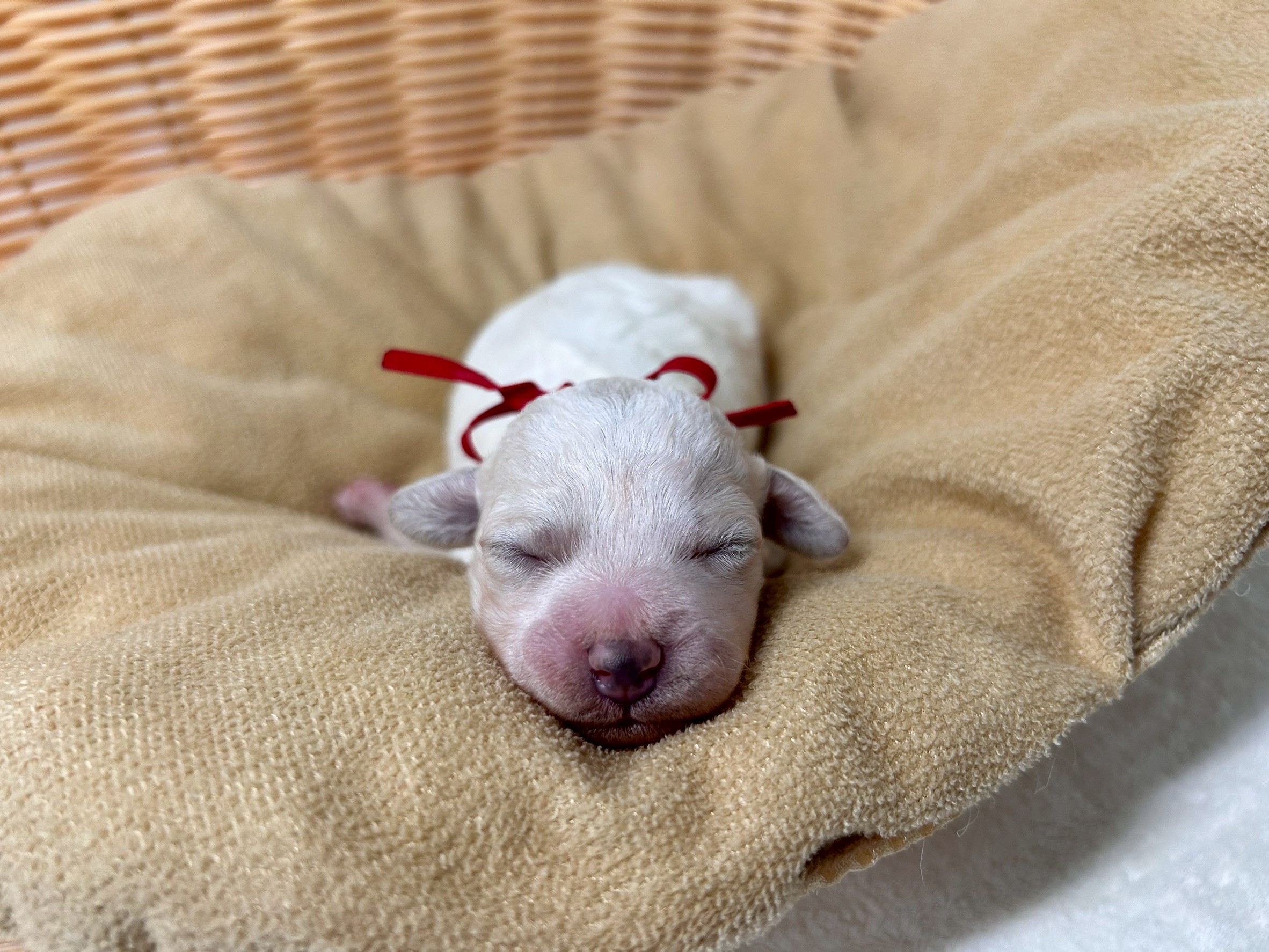 赤ちゃん写真1-1