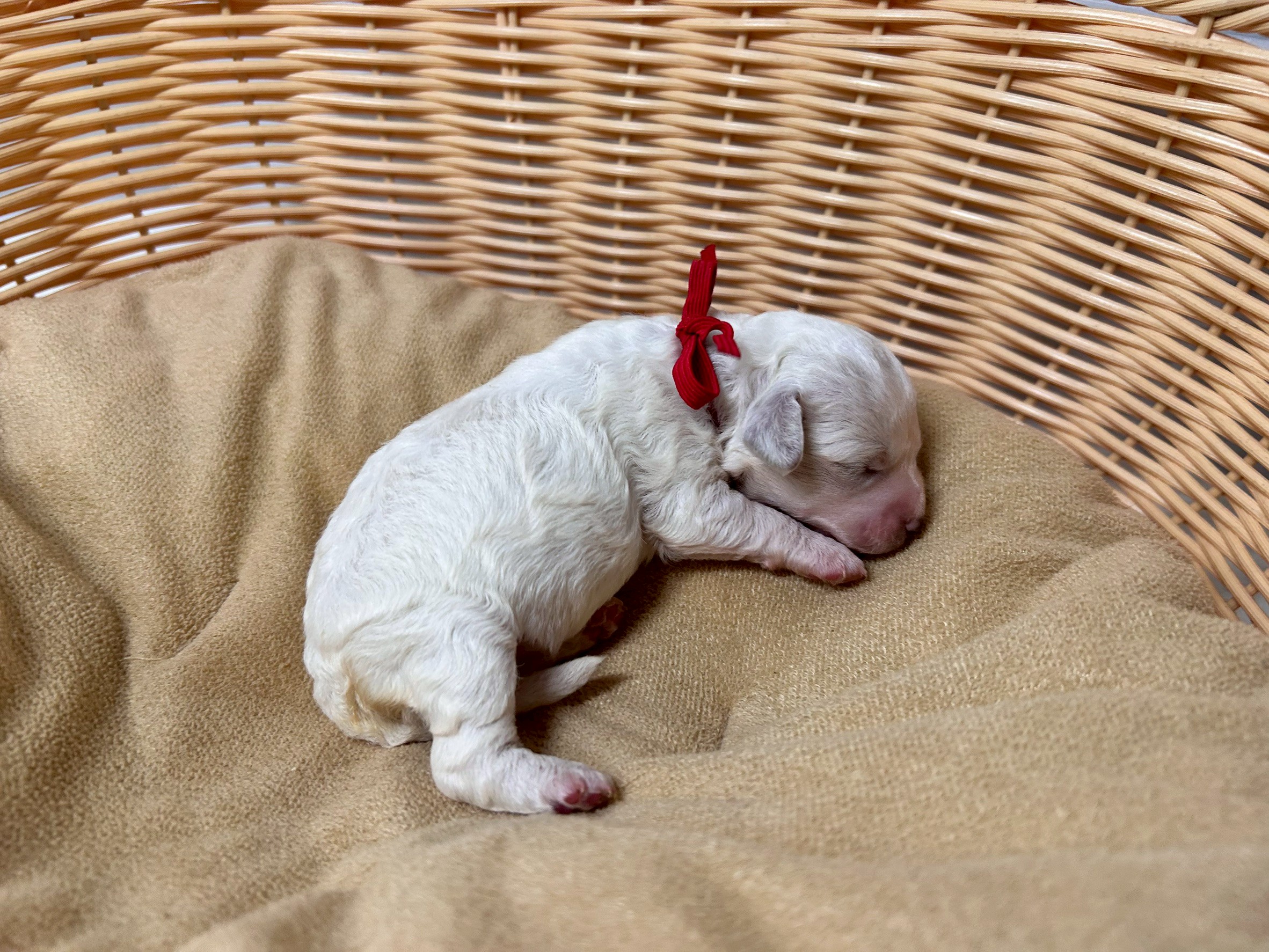 赤ちゃん写真1-2