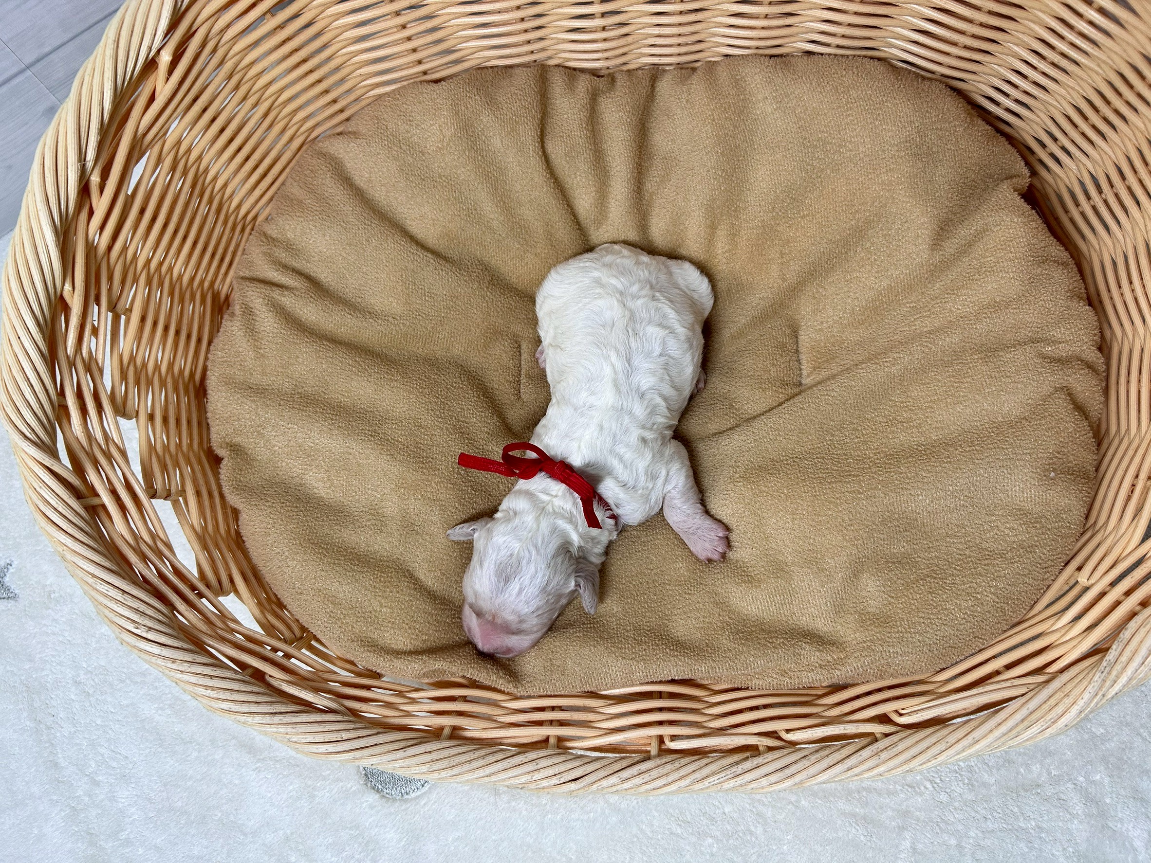 赤ちゃん写真1-3