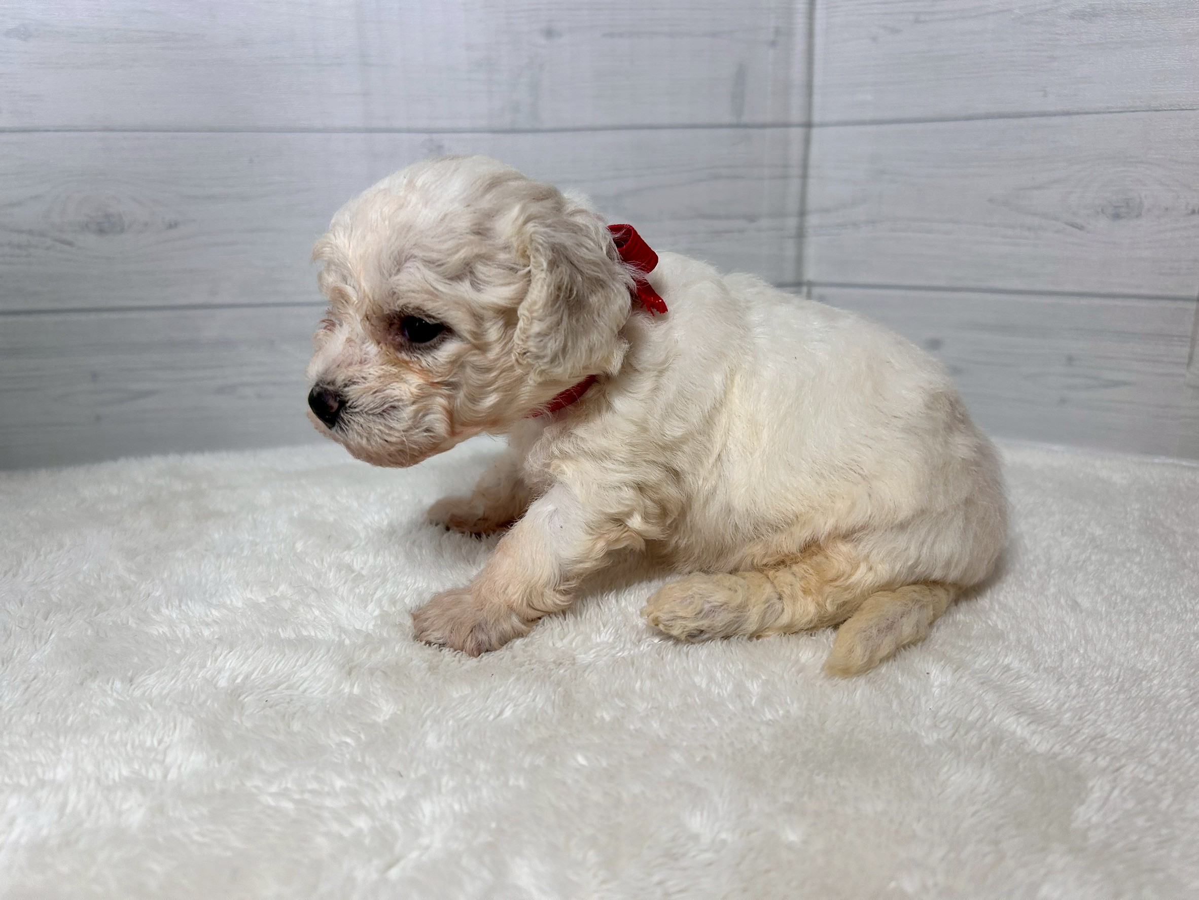 赤ちゃん写真2-2