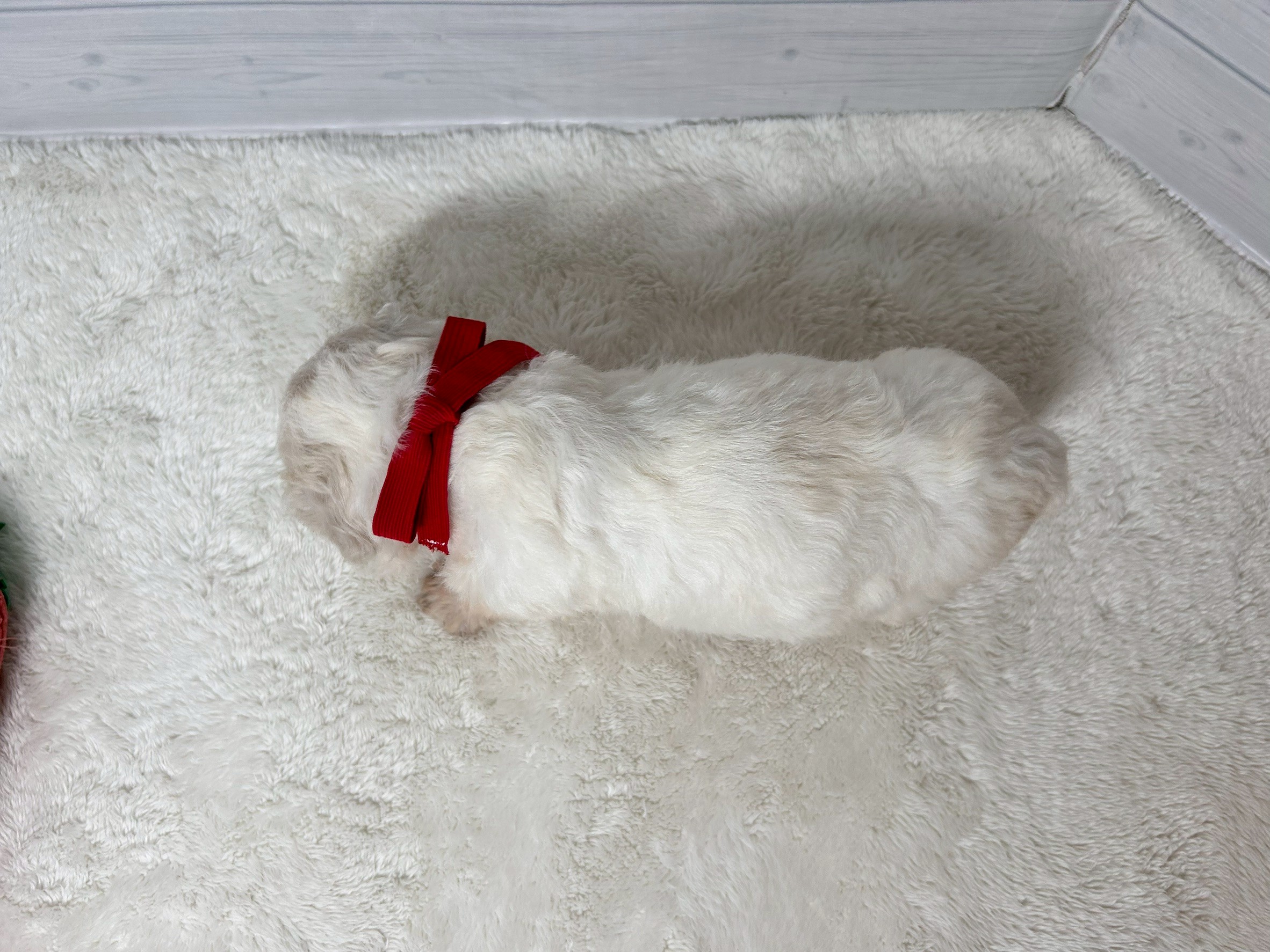 赤ちゃん写真2-3