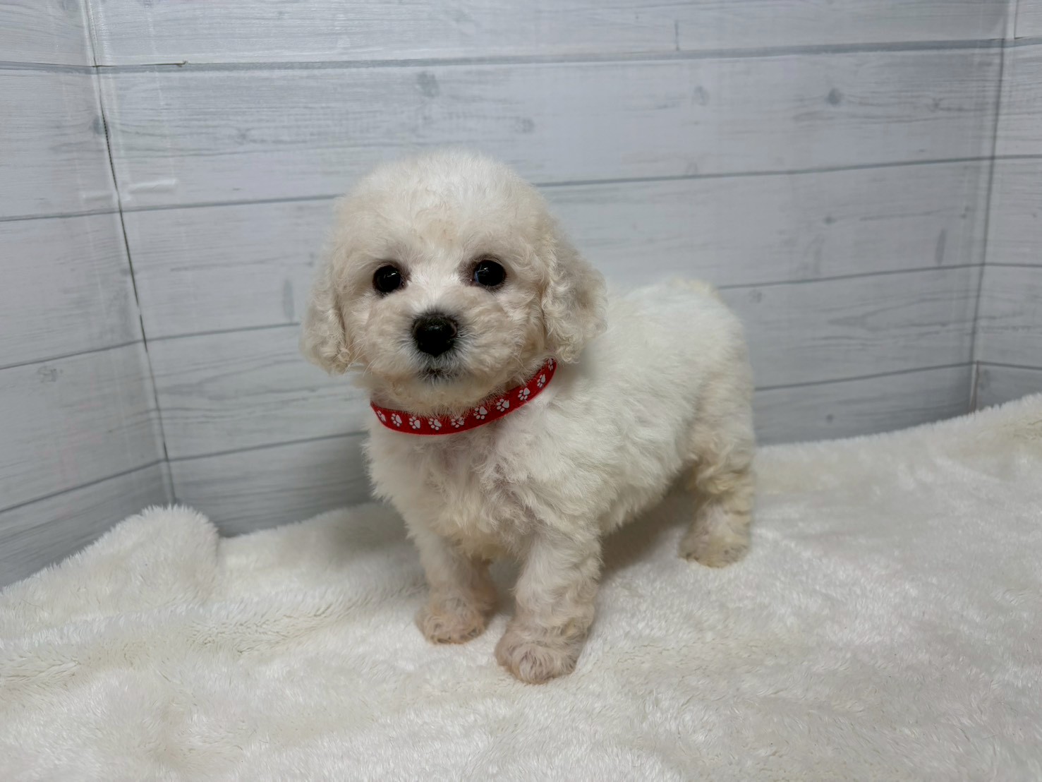 赤ちゃん写真3-1