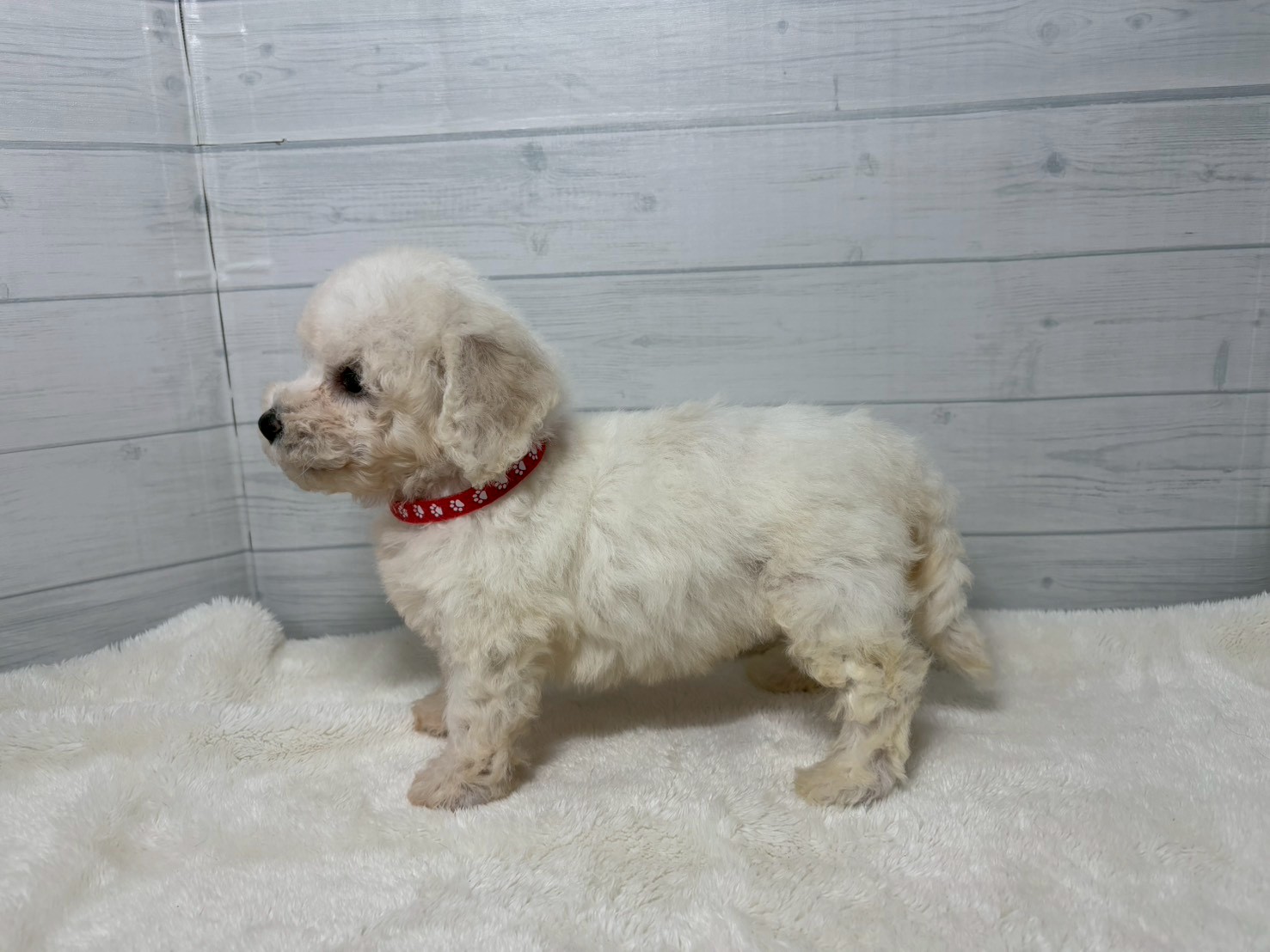 赤ちゃん写真3-2