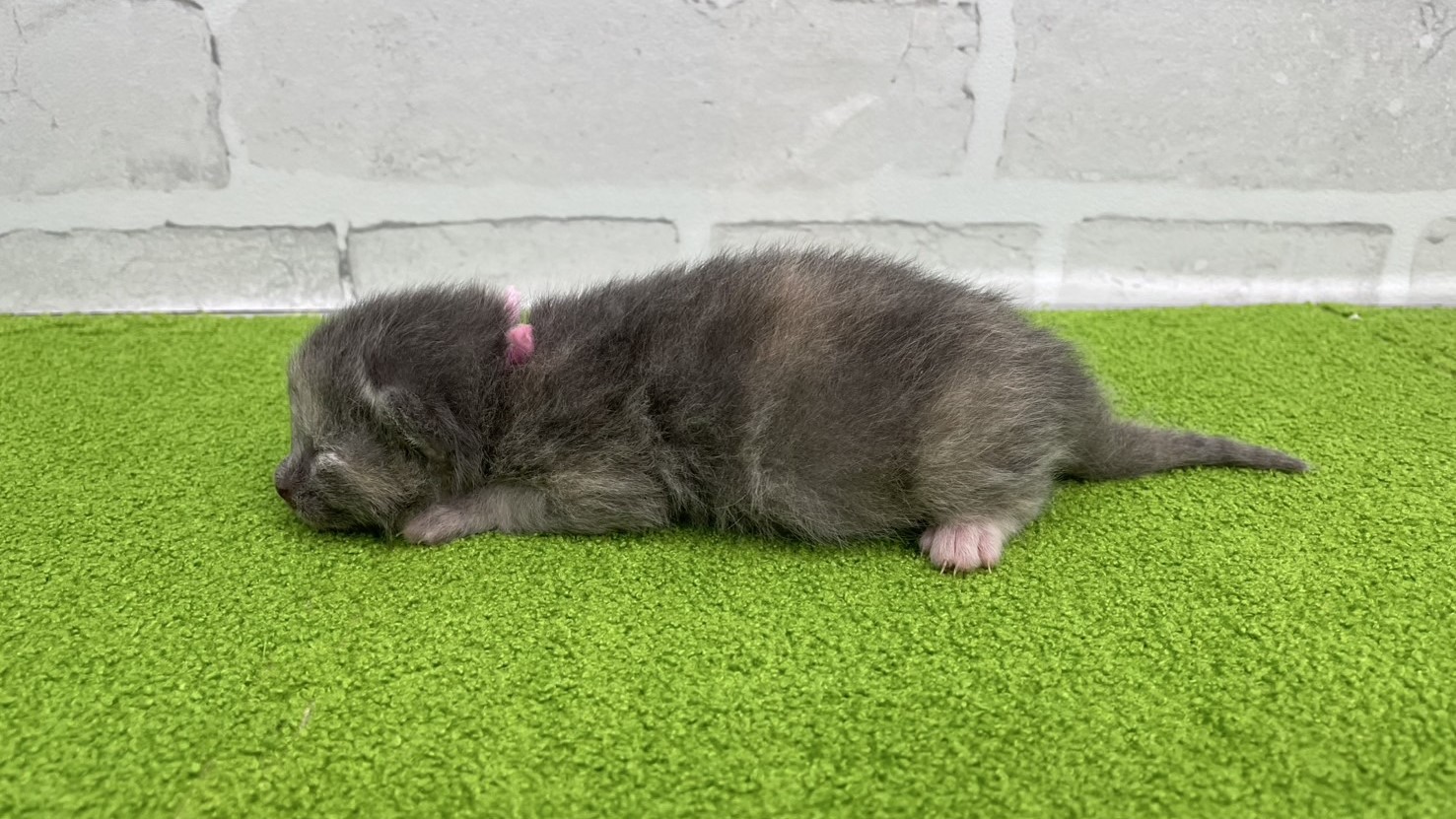 赤ちゃん写真1-2