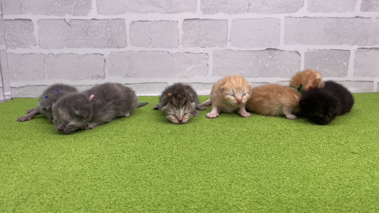 赤ちゃん写真1-3