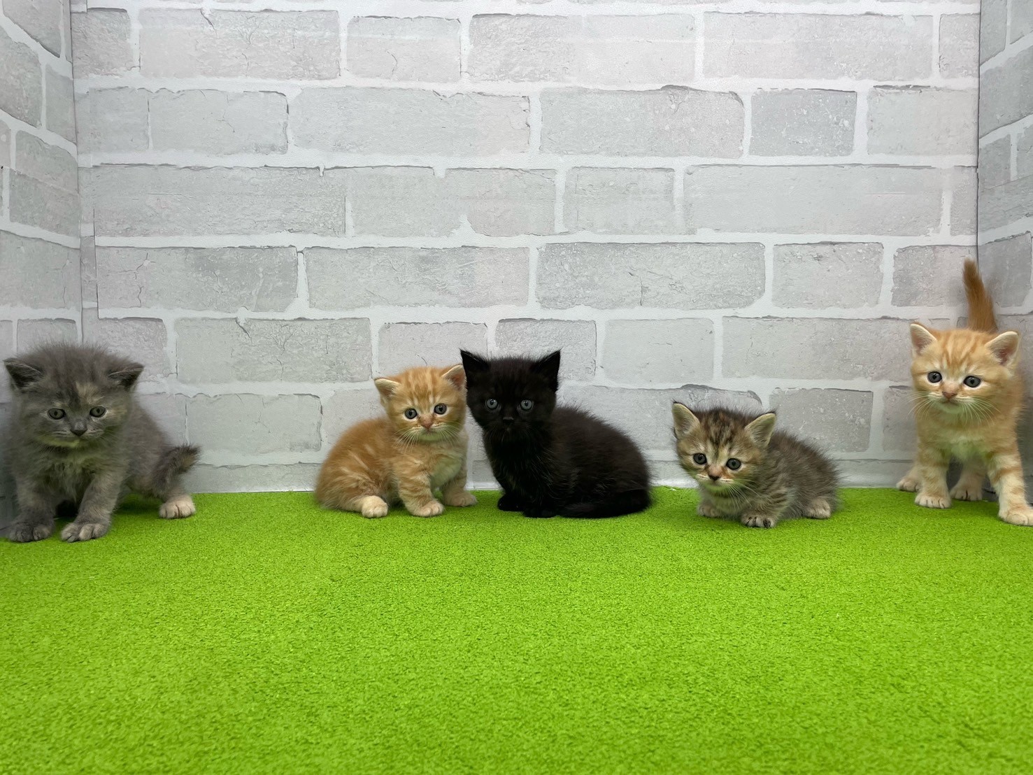 赤ちゃん写真2-3