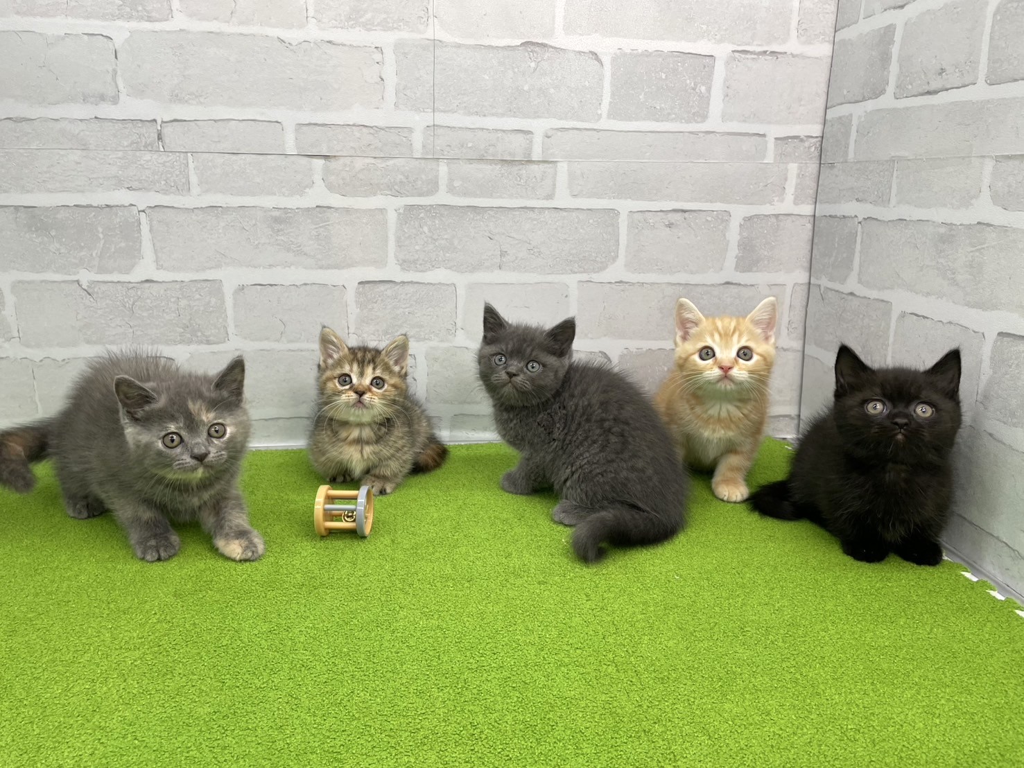 赤ちゃん写真3-3