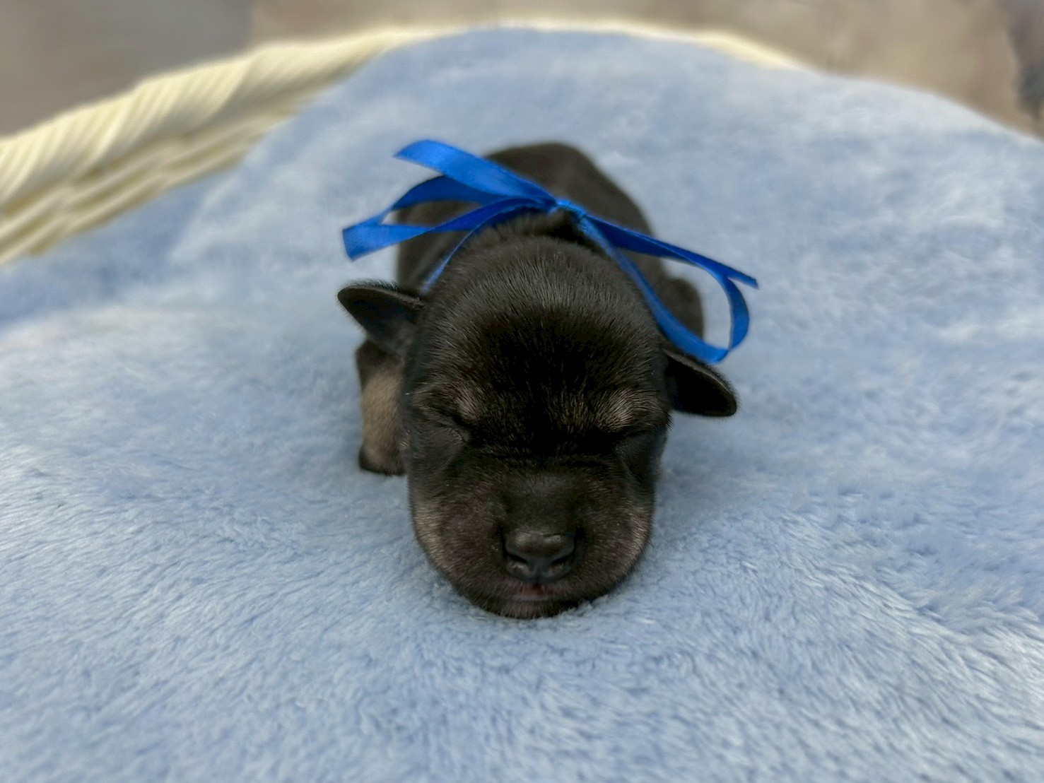 赤ちゃん写真1-1