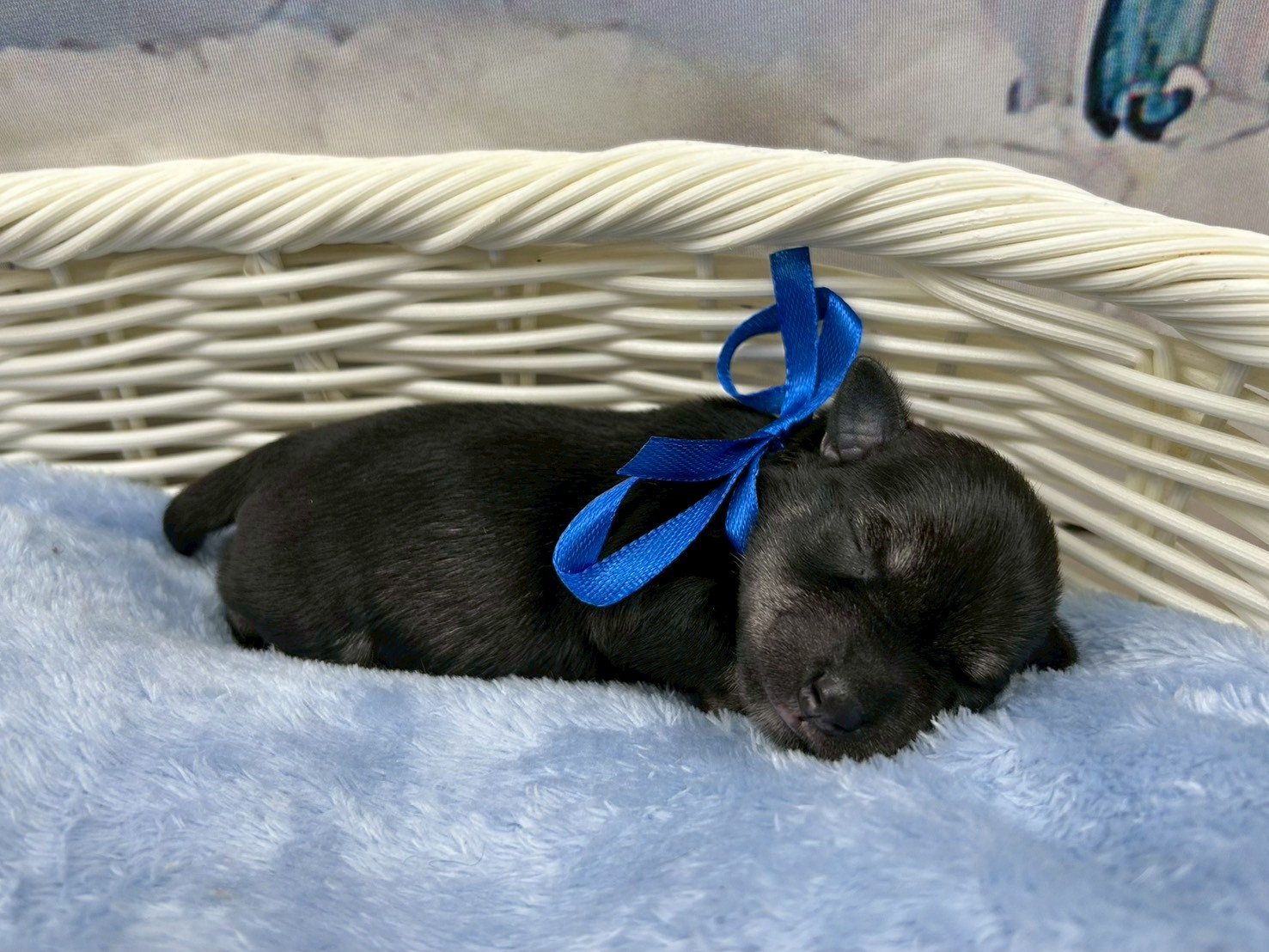 赤ちゃん写真1-2