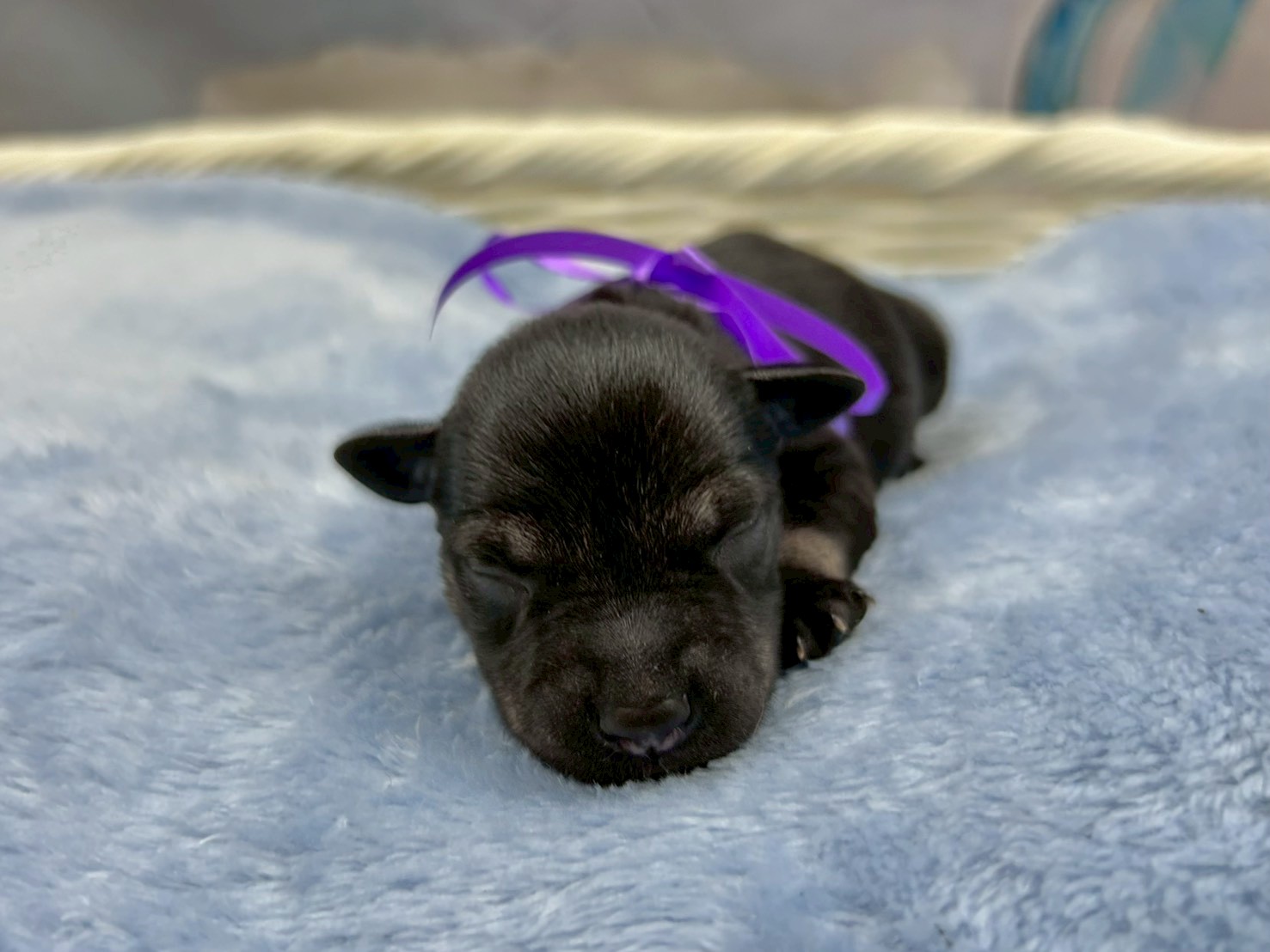 赤ちゃん写真1-1