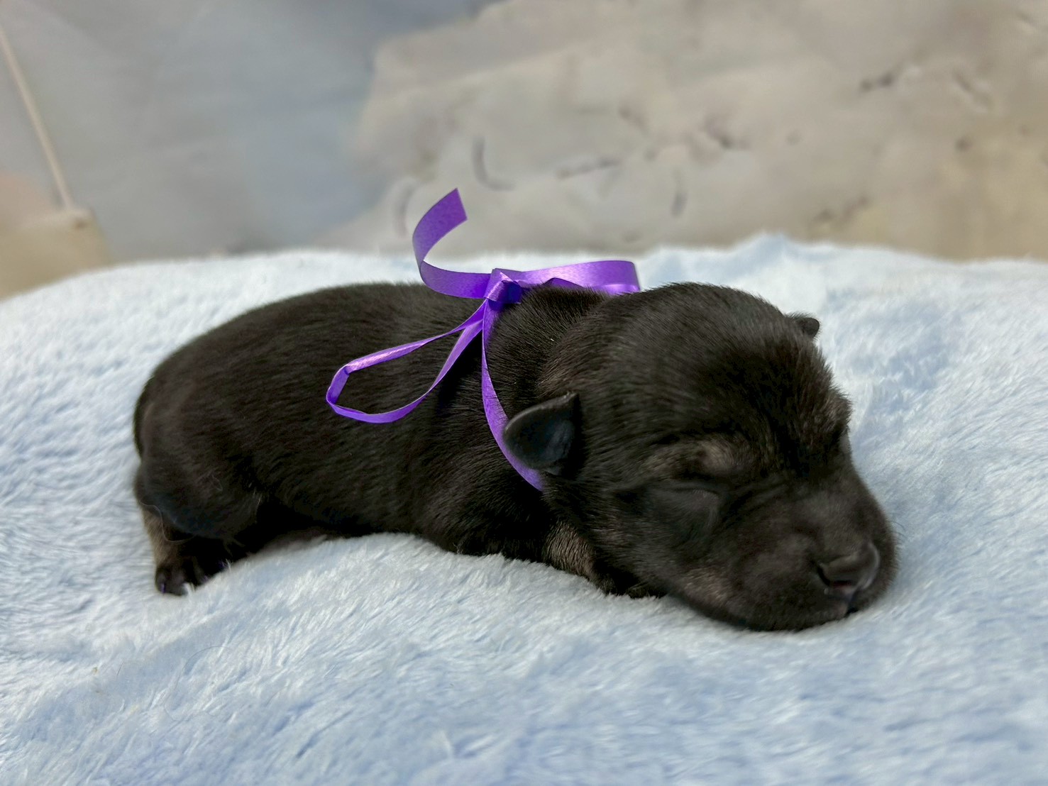 赤ちゃん写真1-2