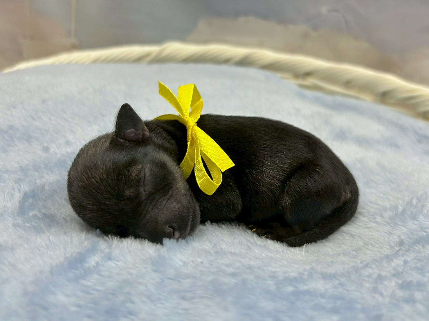 赤ちゃん写真1-2