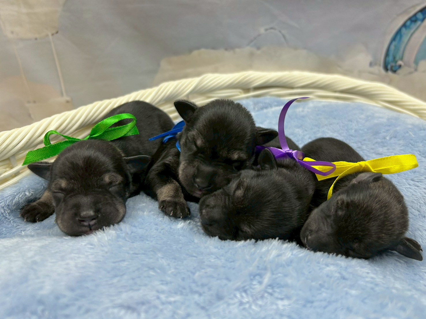 赤ちゃん写真1-3