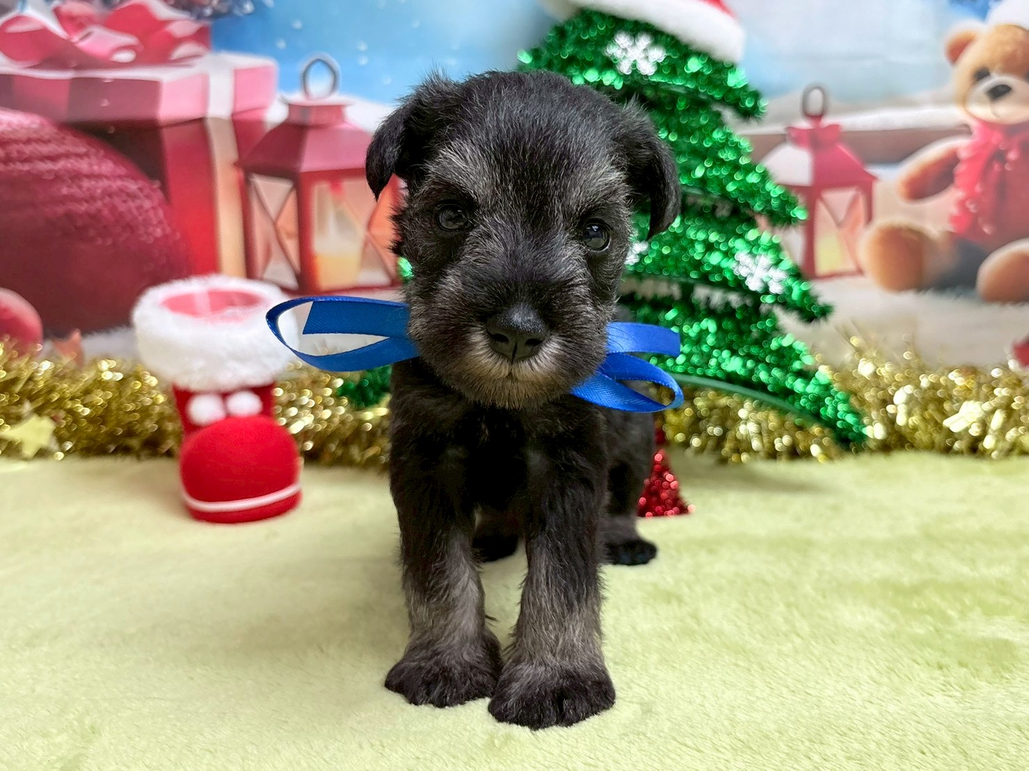 赤ちゃん写真2-1