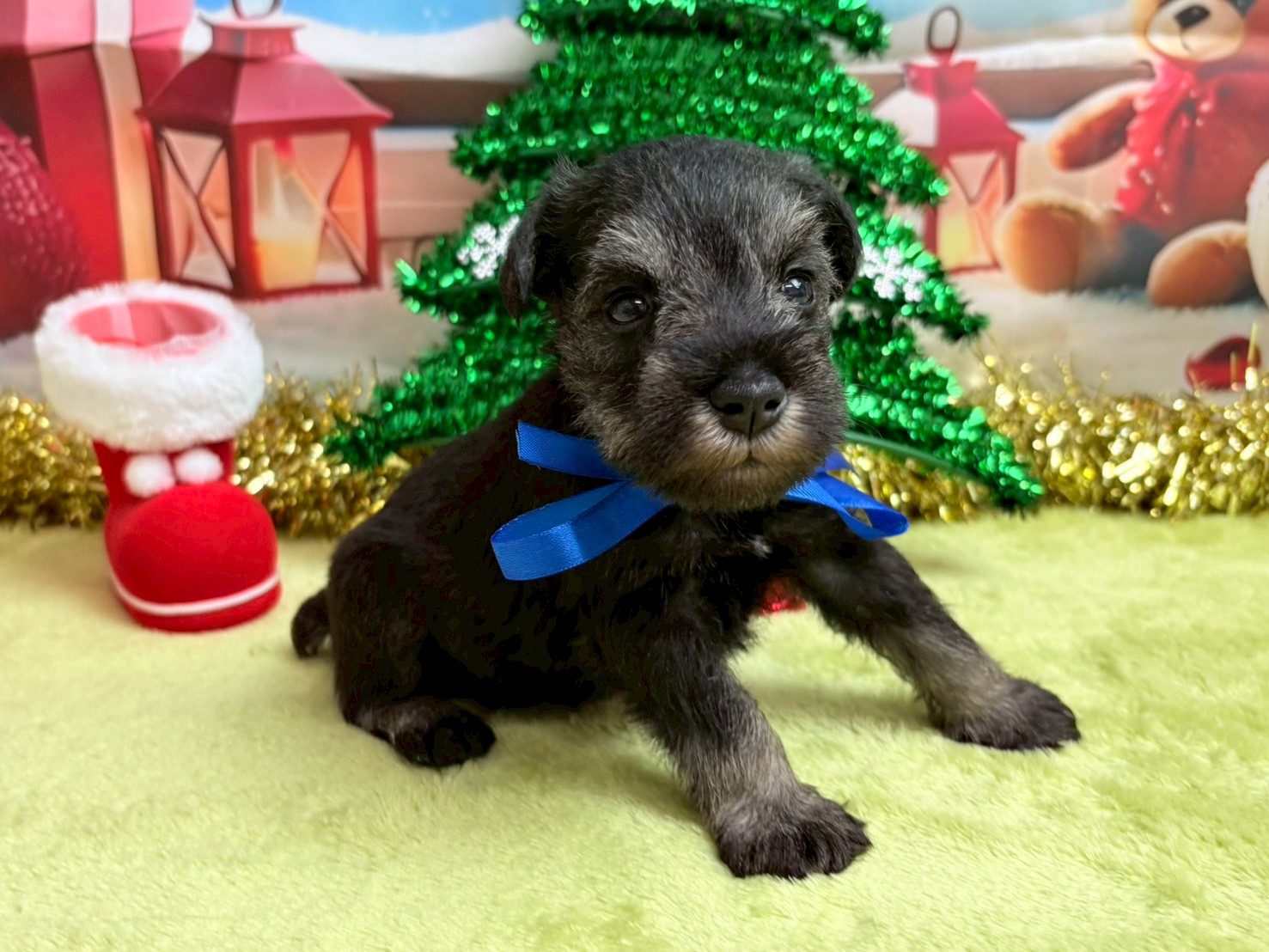 赤ちゃん写真2-2