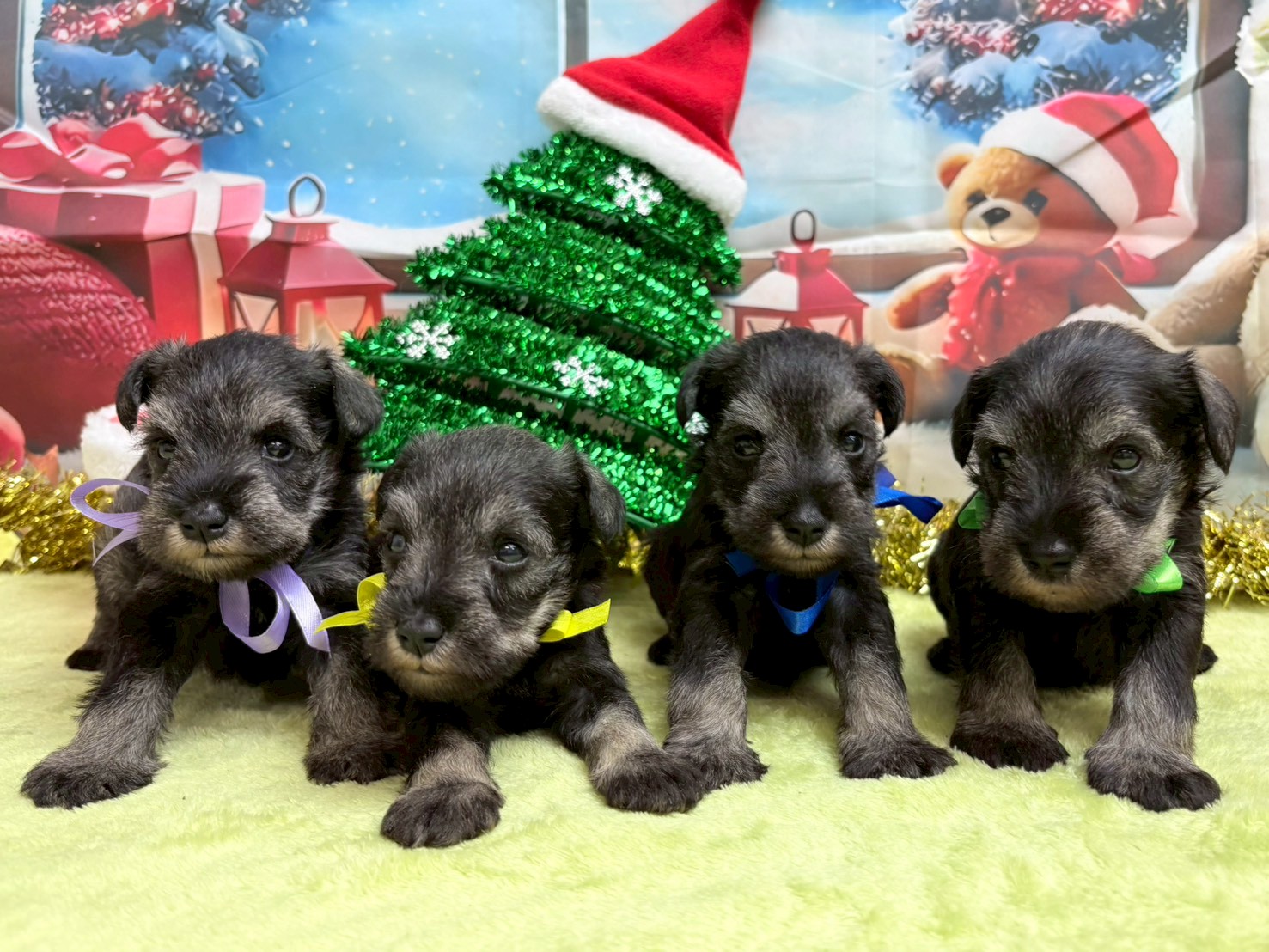 赤ちゃん写真2-3