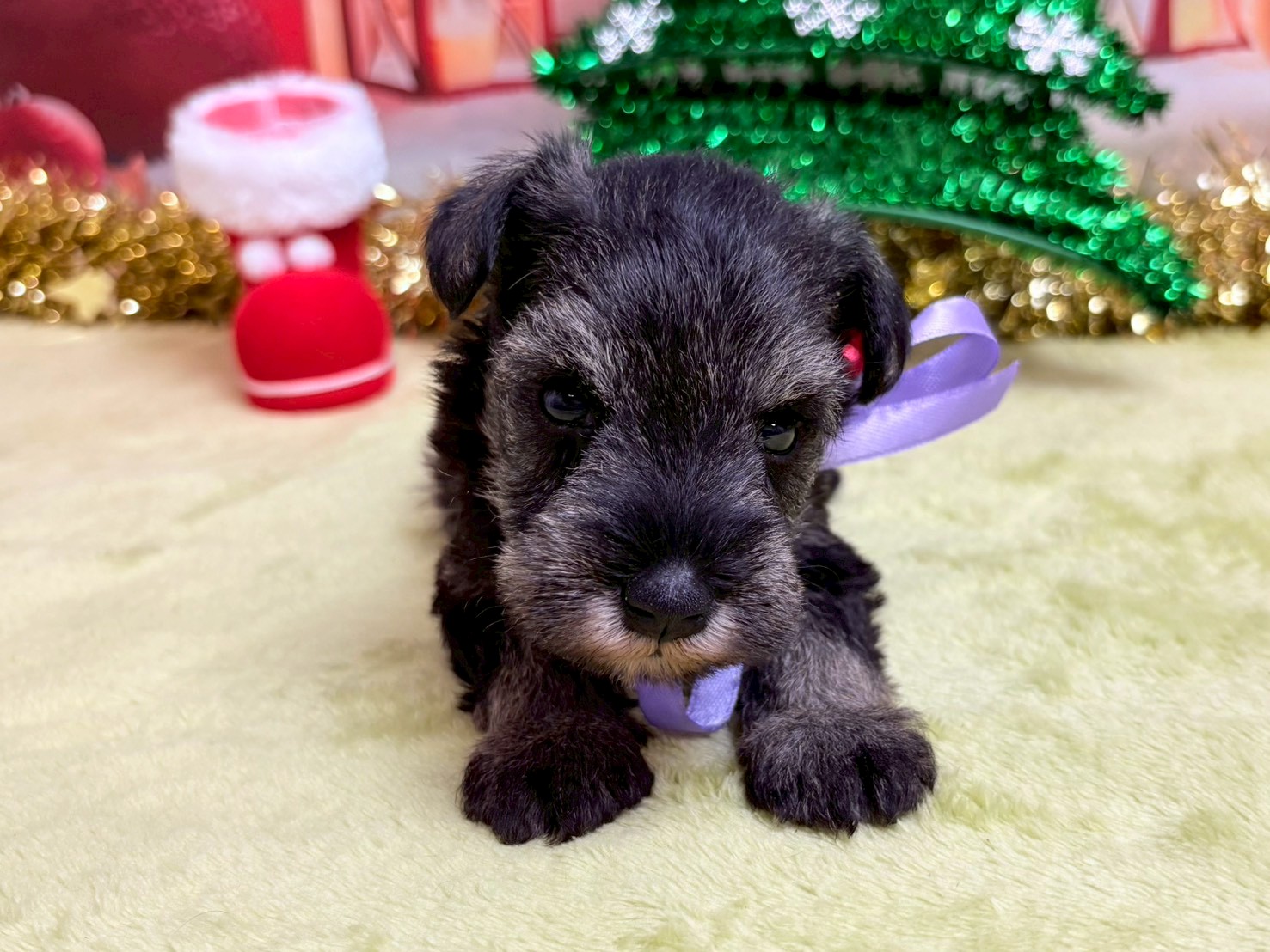 赤ちゃん写真2-1