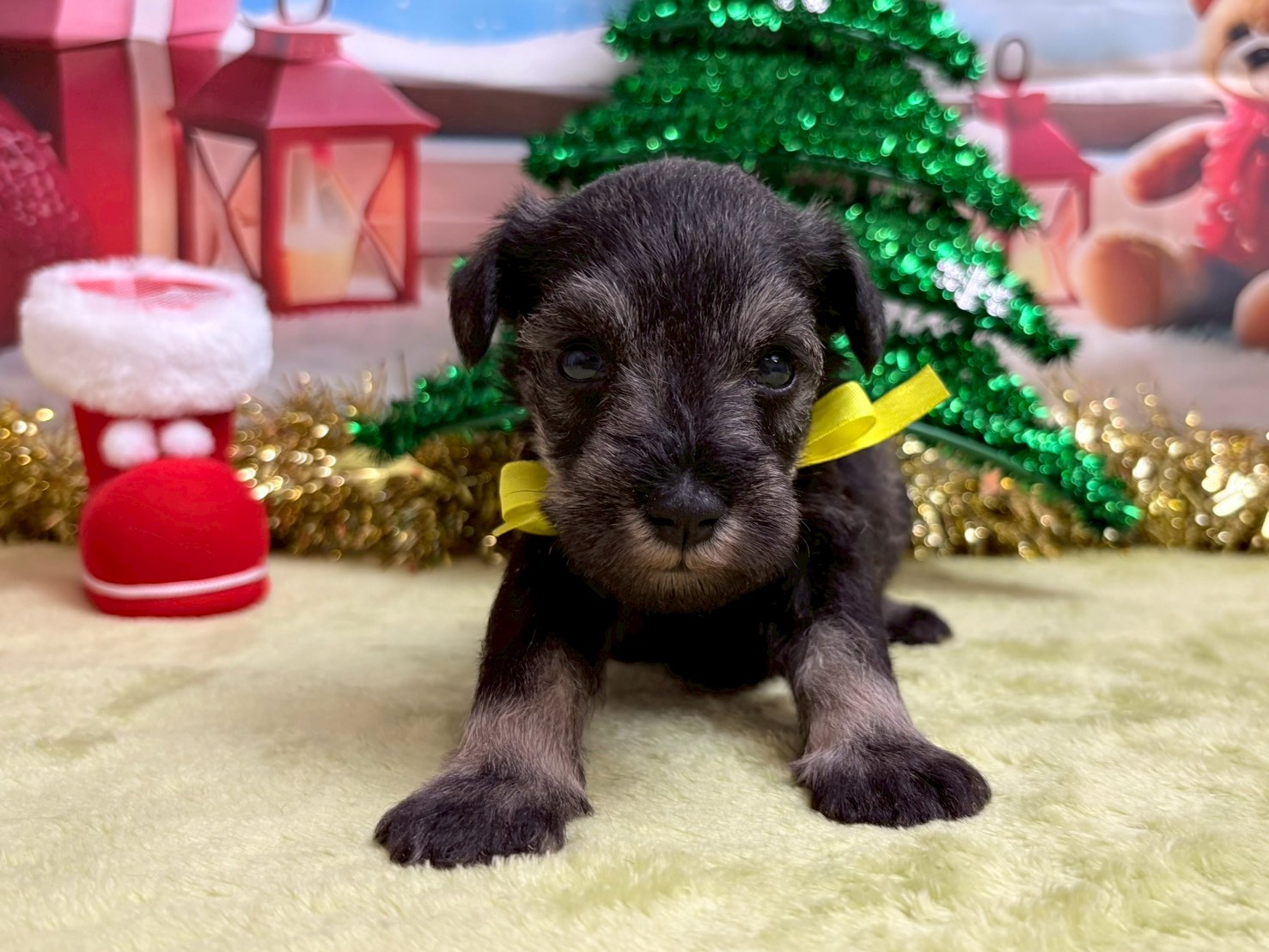 赤ちゃん写真2-1