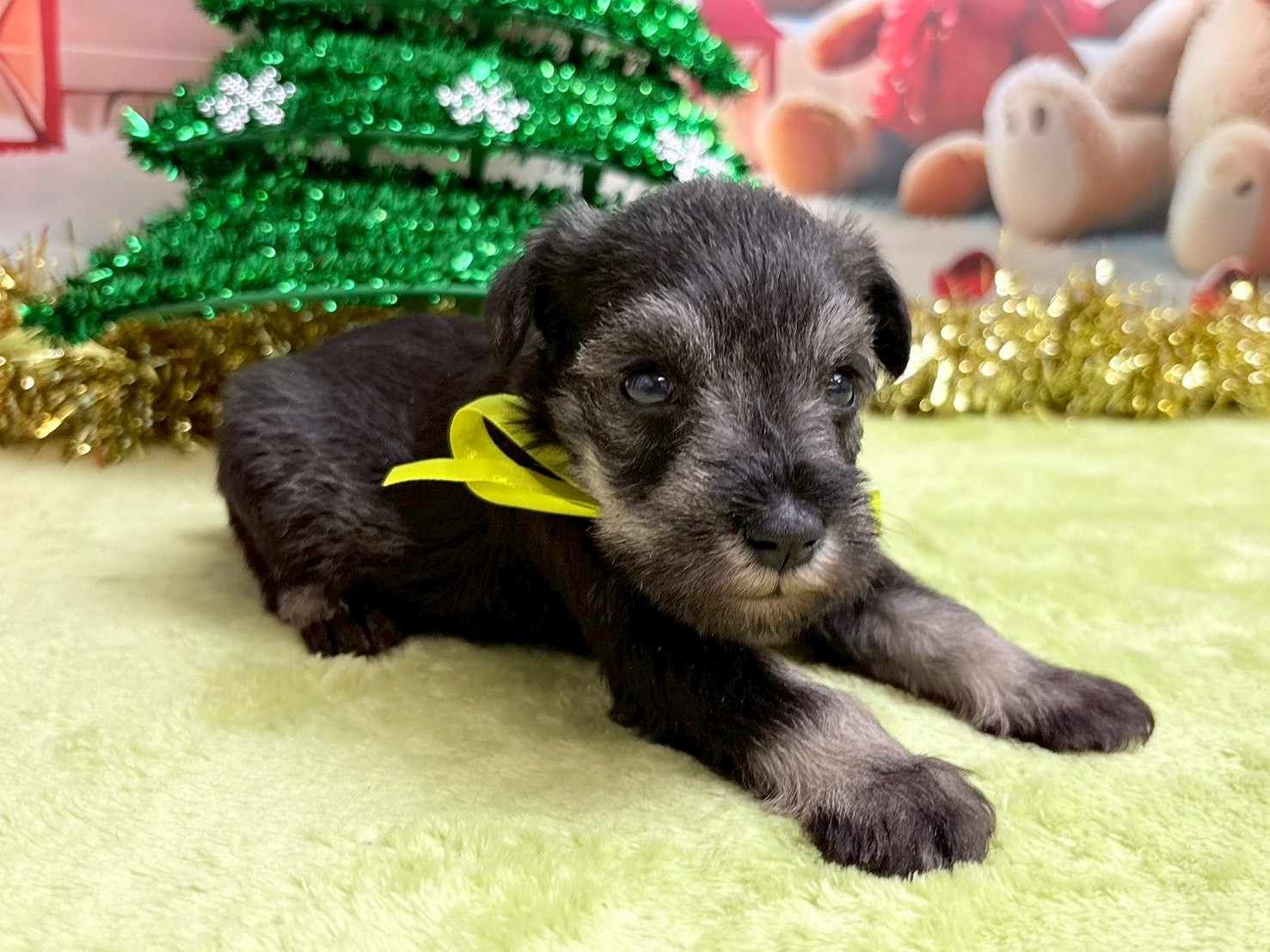 赤ちゃん写真2-2