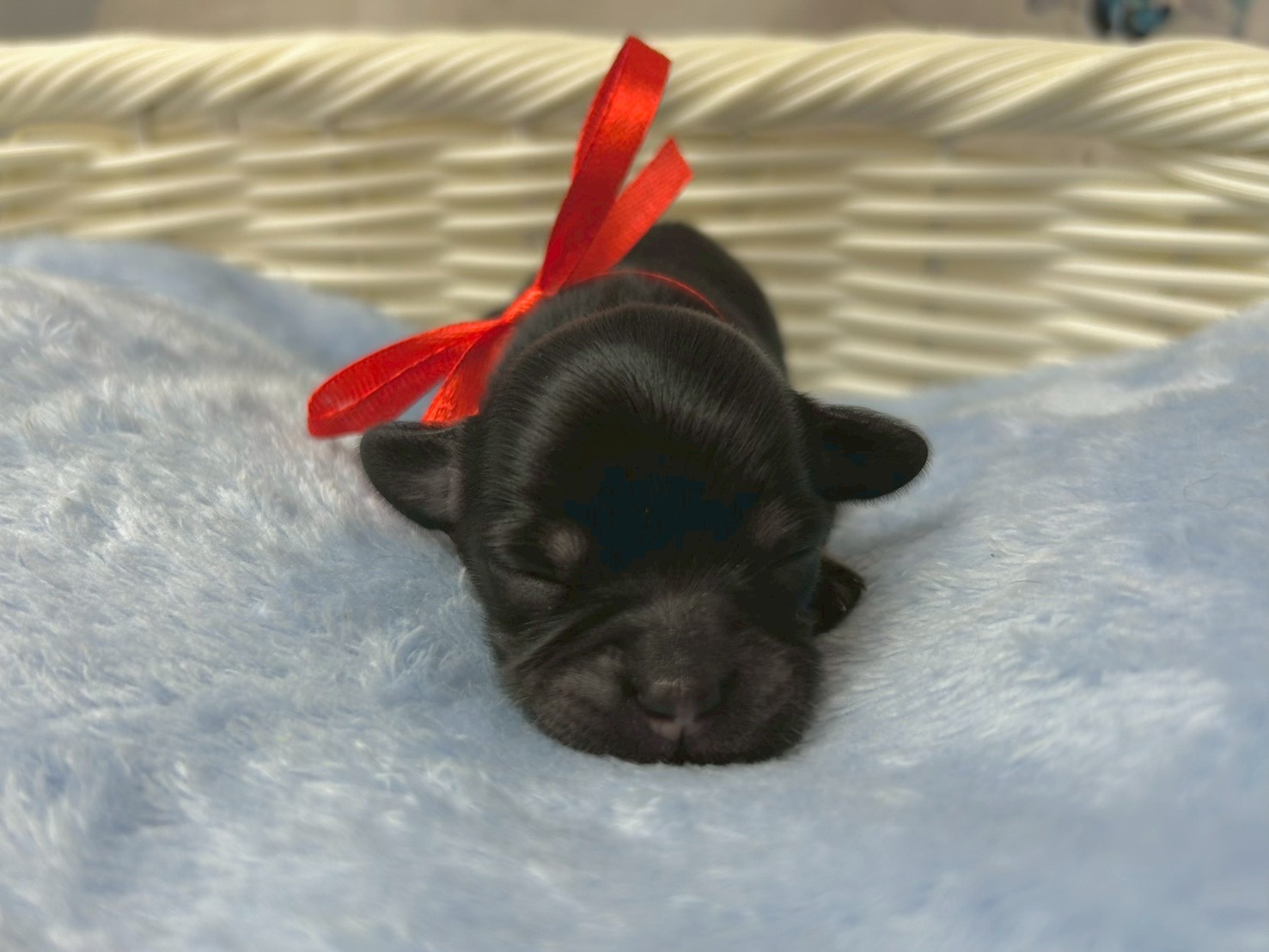 赤ちゃん写真1-1