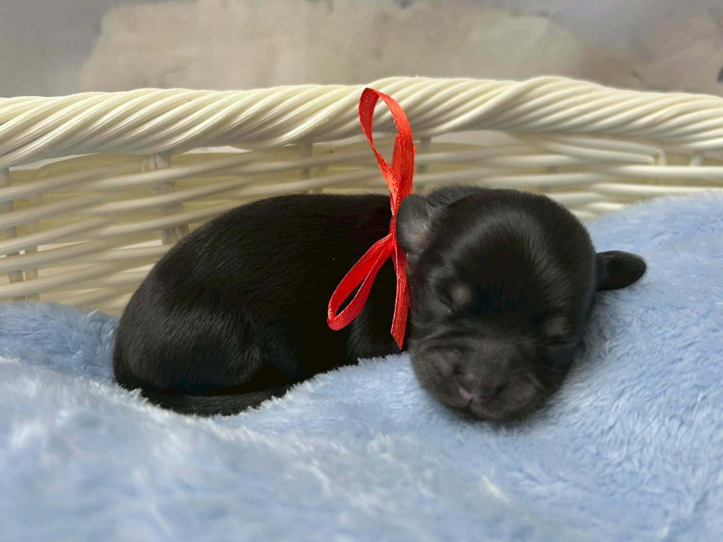 赤ちゃん写真1-2