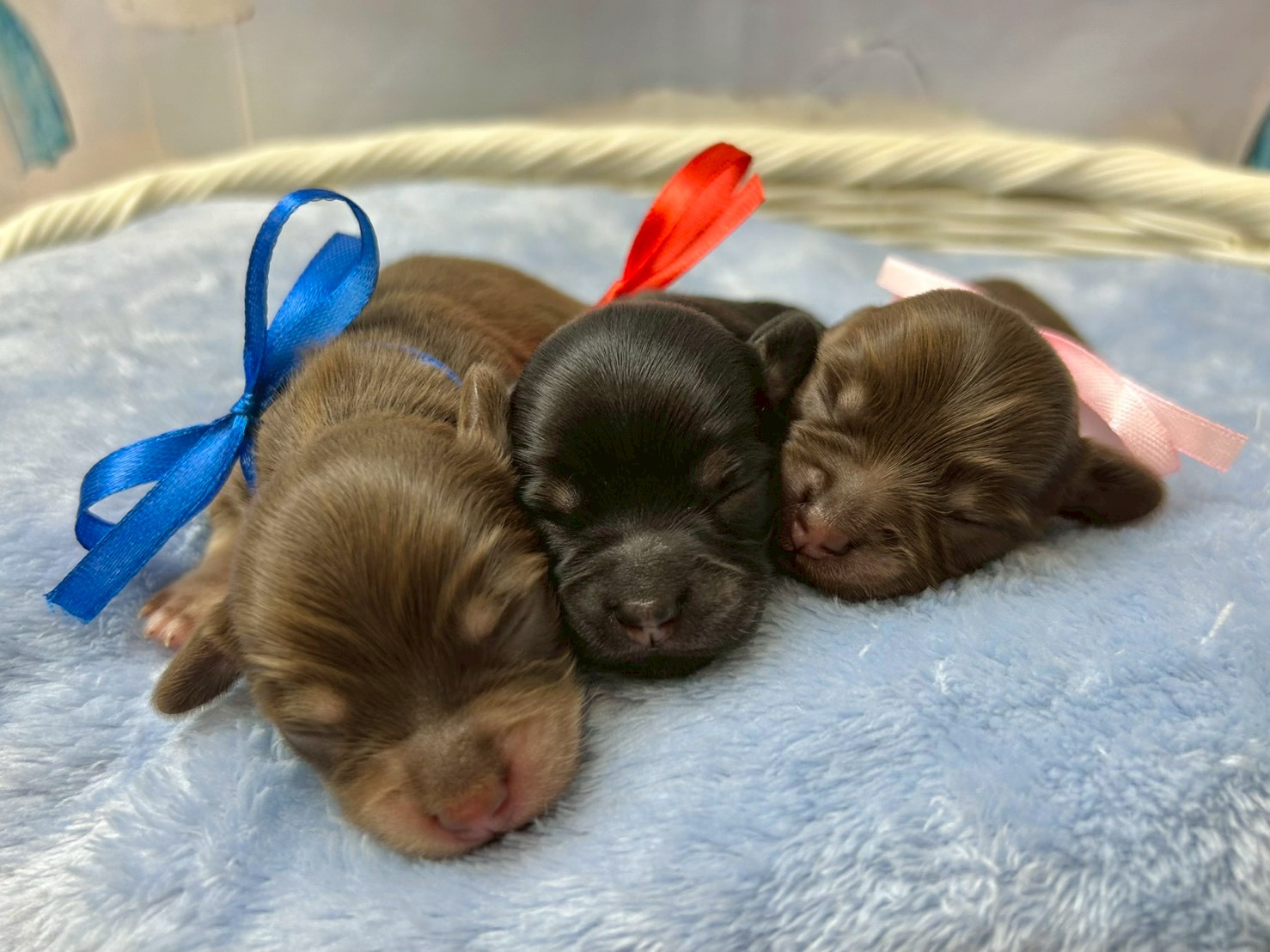 赤ちゃん写真1-3