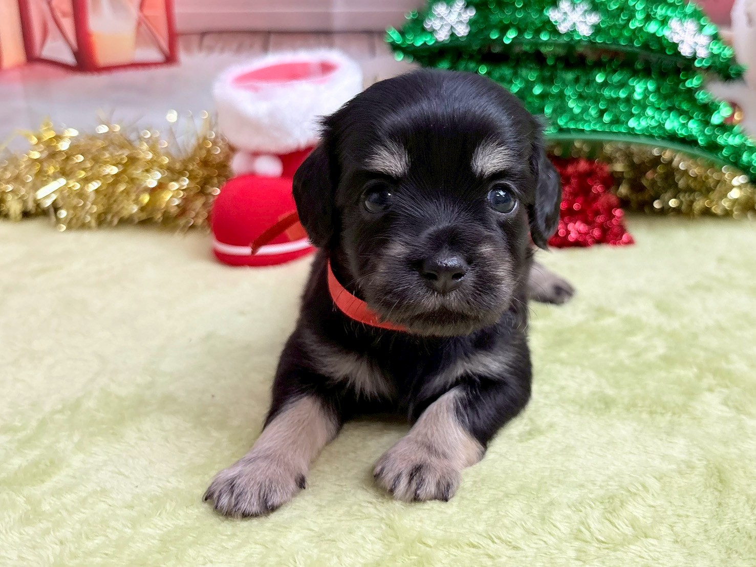 赤ちゃん写真2-1