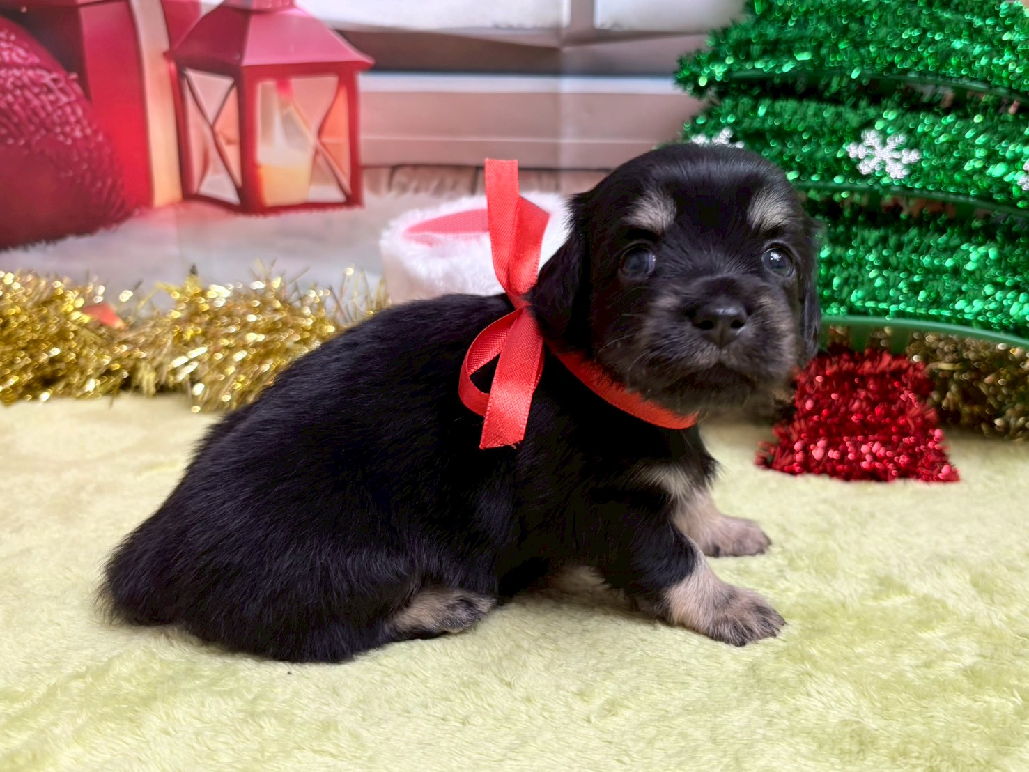 赤ちゃん写真2-2