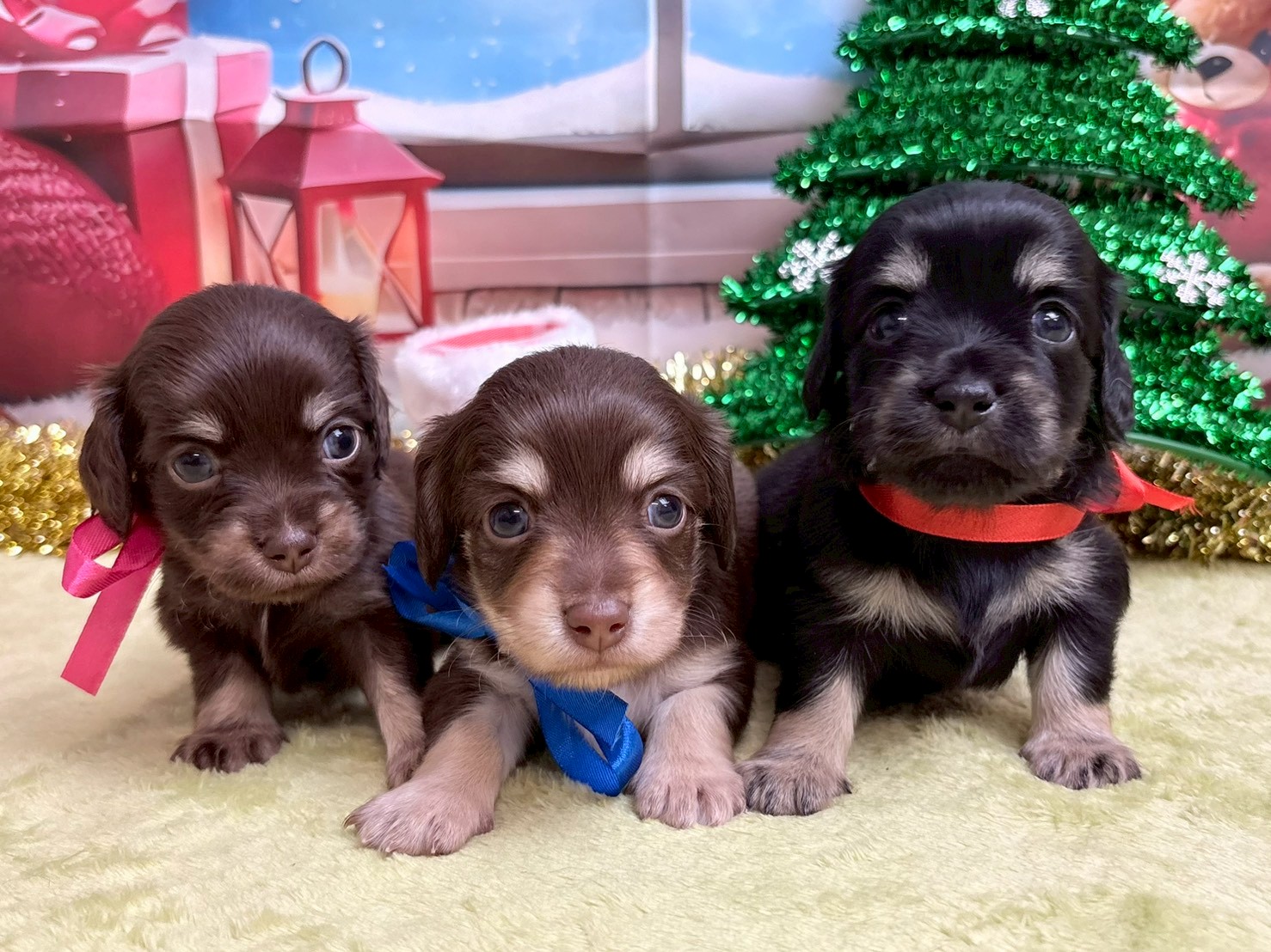 赤ちゃん写真2-3