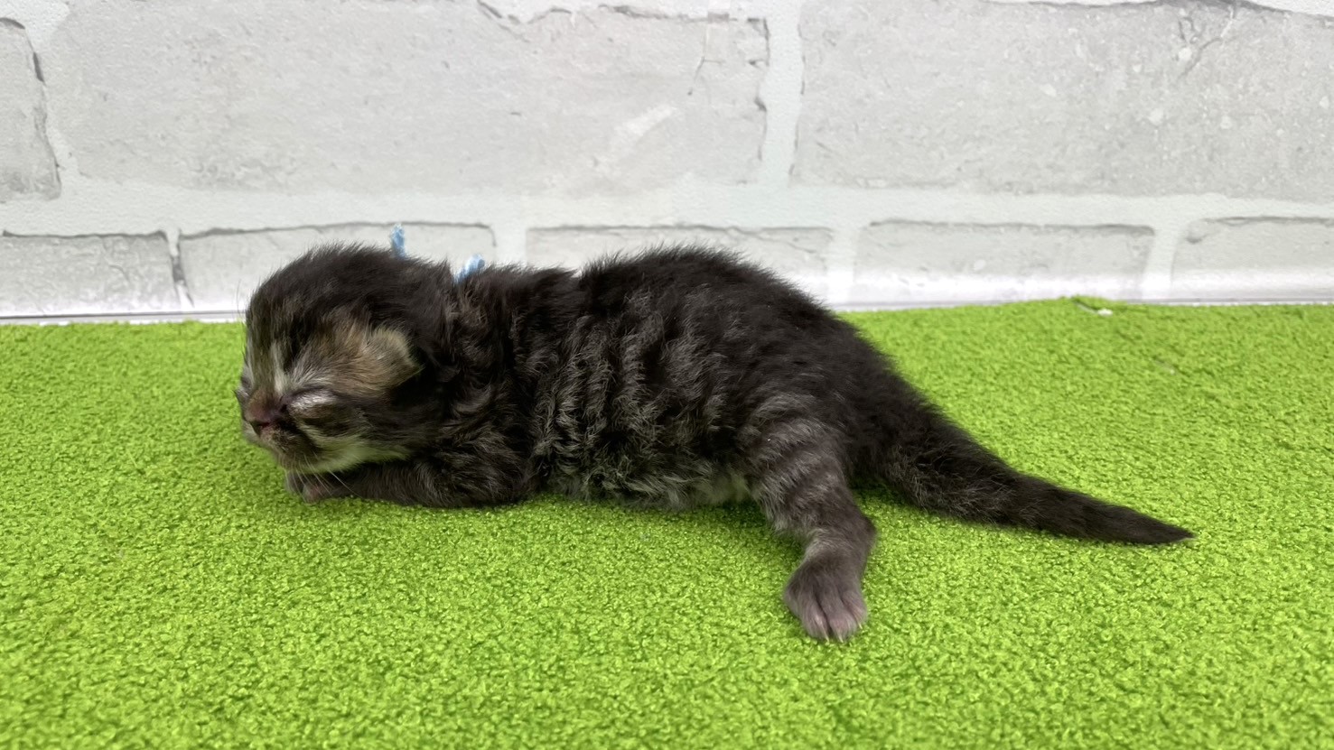 赤ちゃん写真1-2