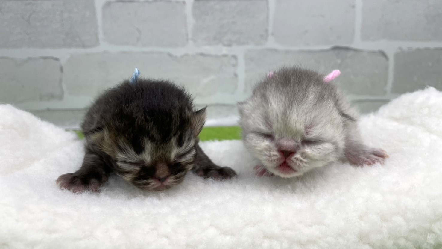 赤ちゃん写真1-3