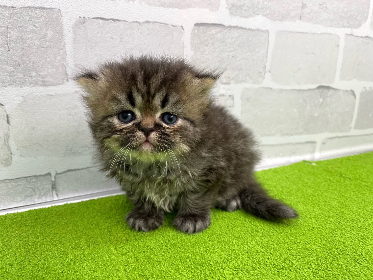 赤ちゃん写真2-1