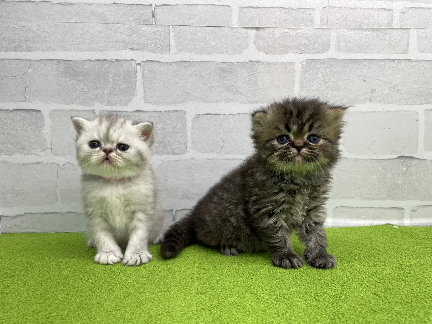 赤ちゃん写真2-3