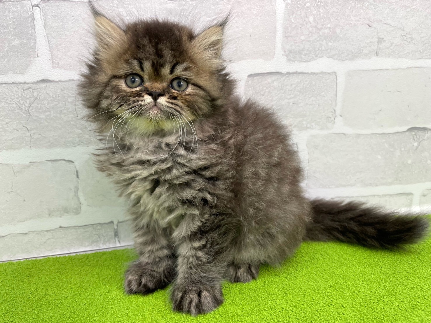 赤ちゃん写真3-1