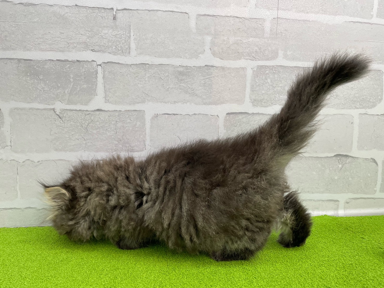 赤ちゃん写真3-2